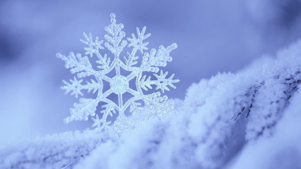 snowflake wallpaper