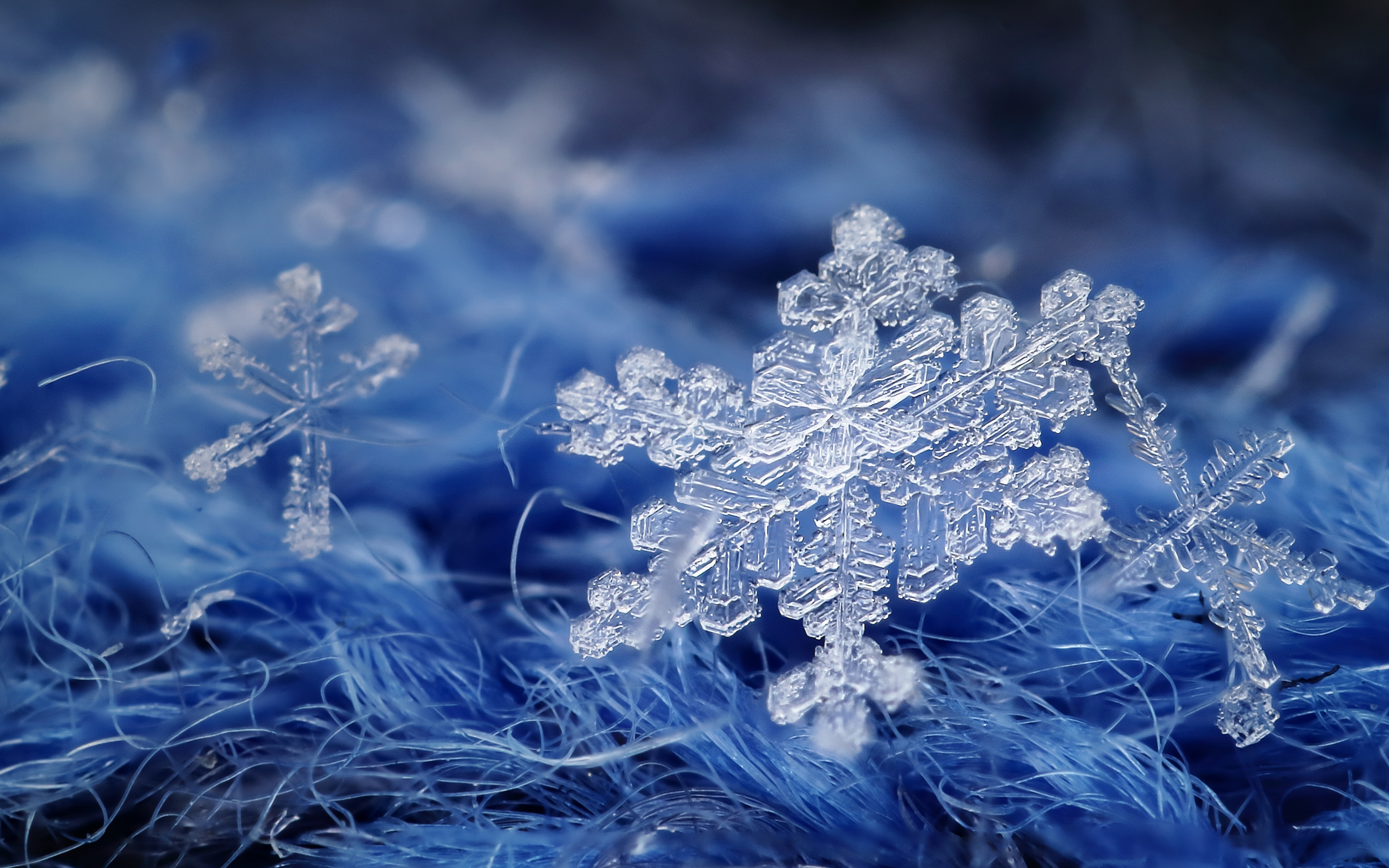 snowflake wallpaper