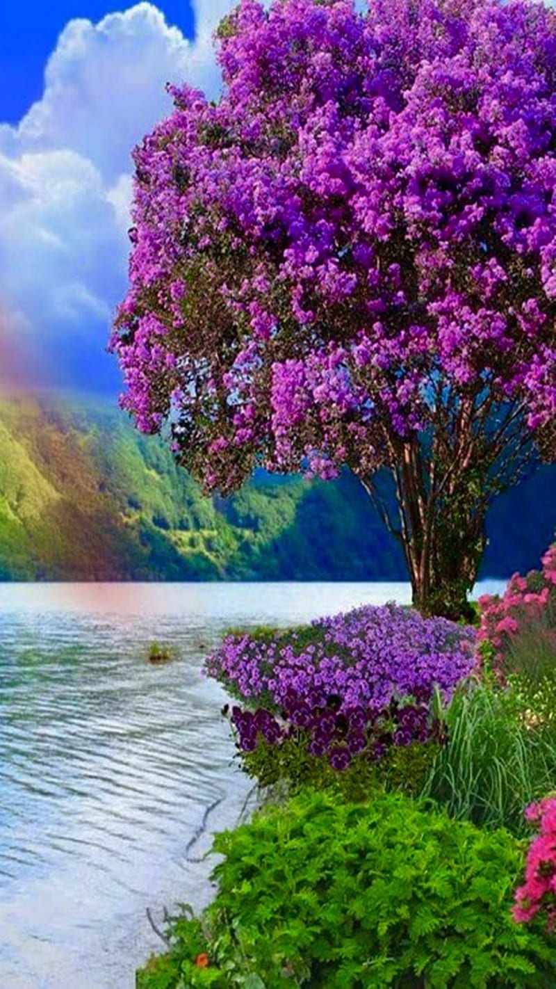 spring wallpaper
