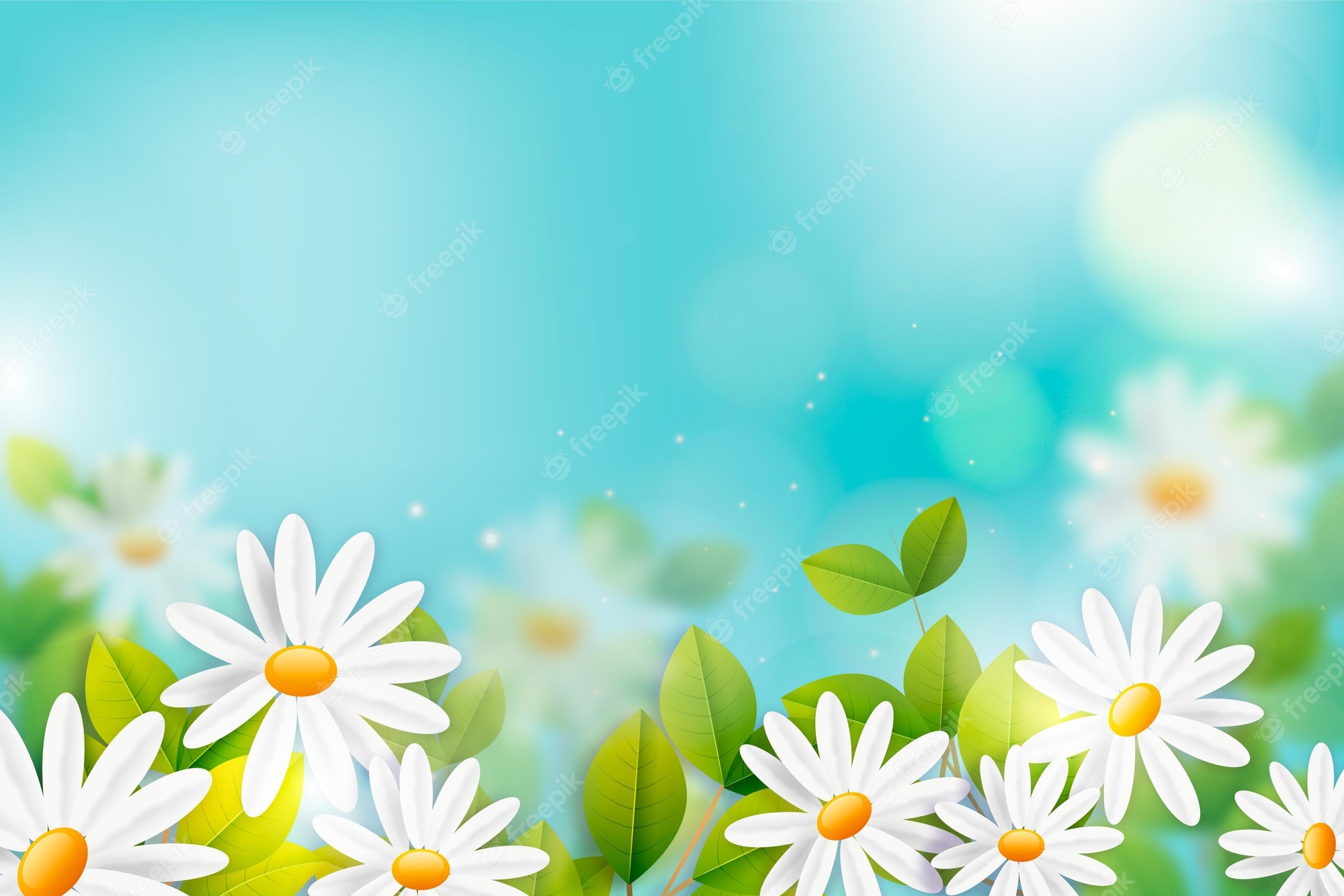spring wallpaper