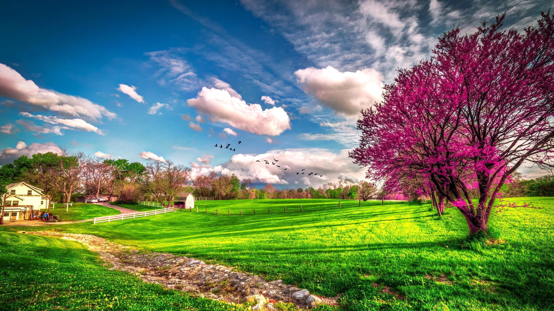 spring wallpaper