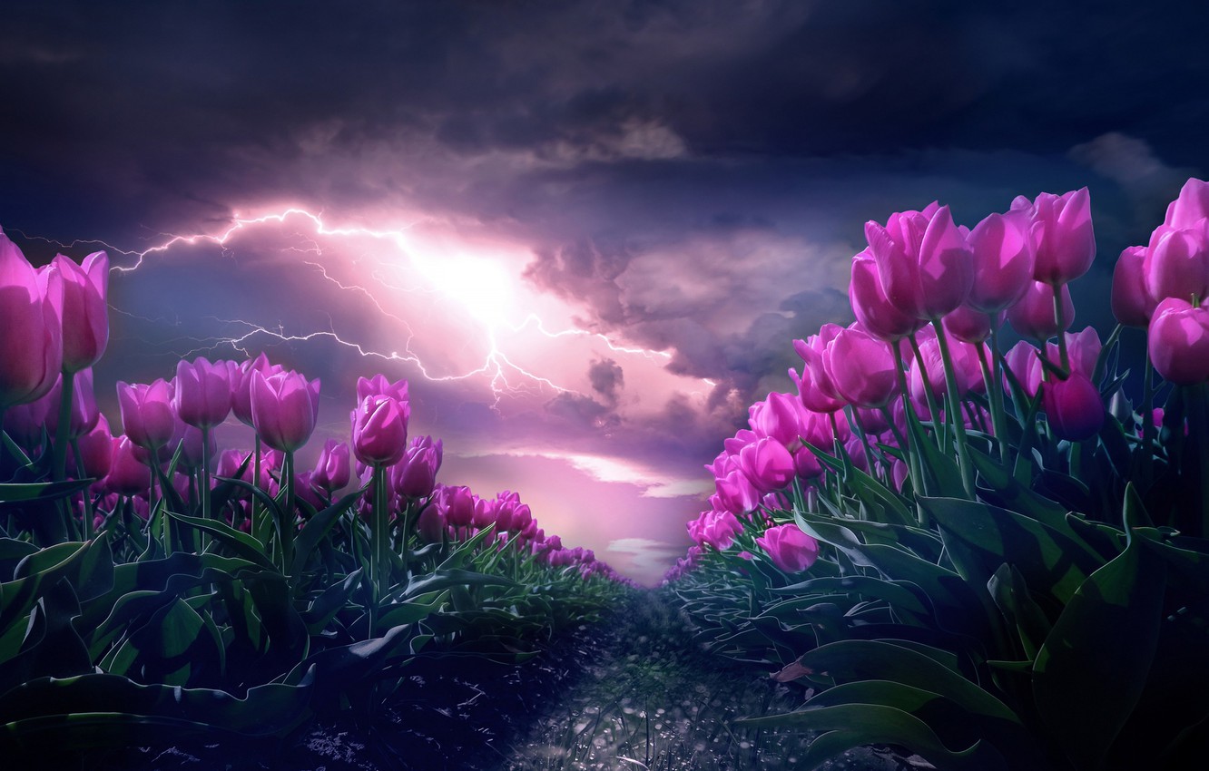 storm wallpaper