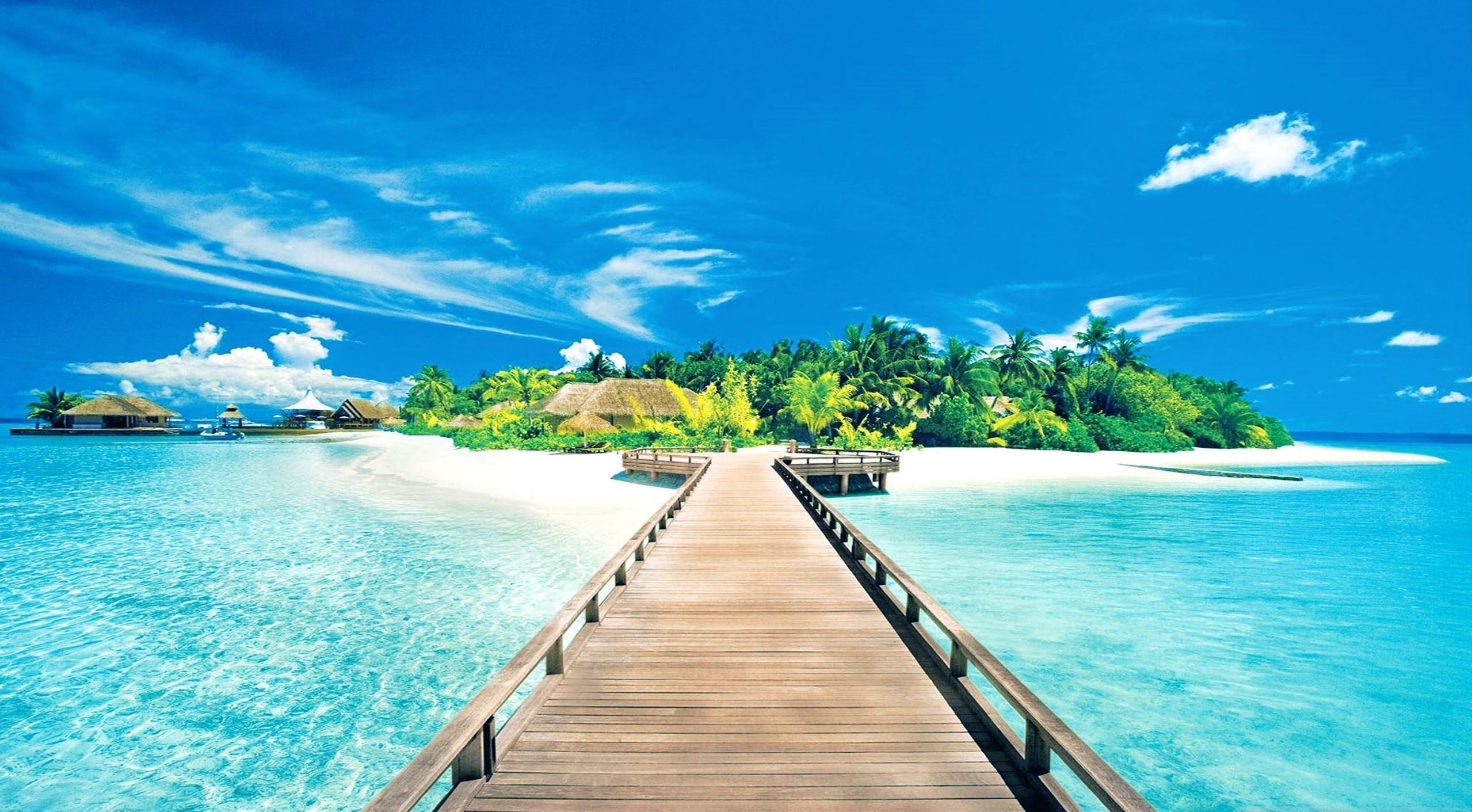 summer wallpaper