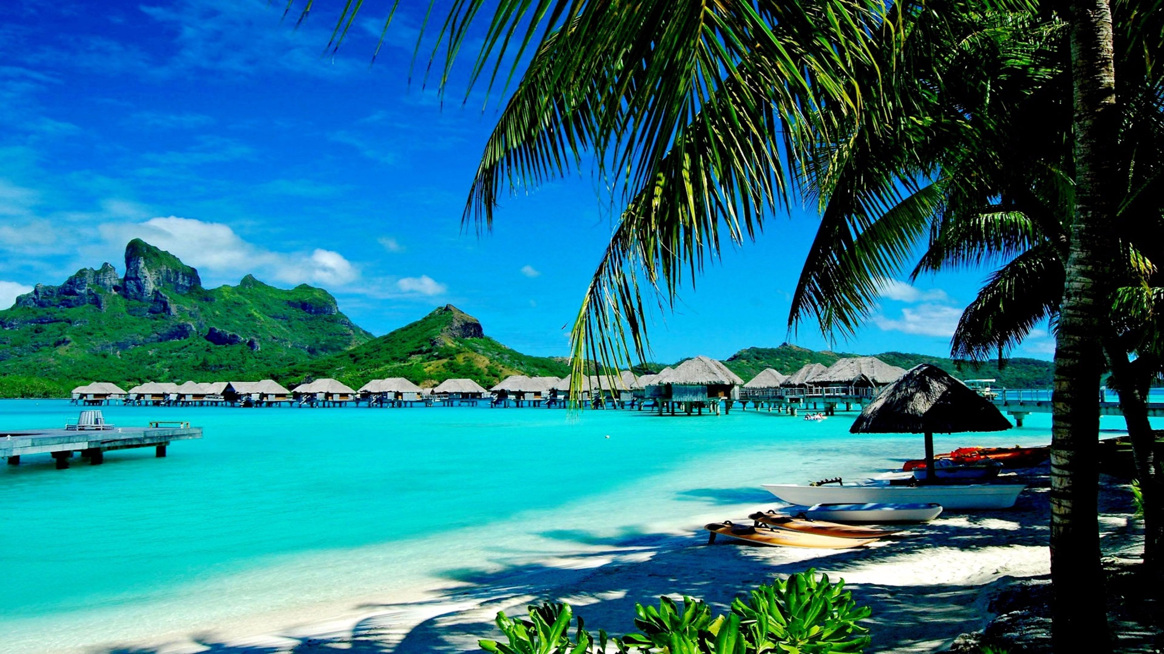 summer wallpaper