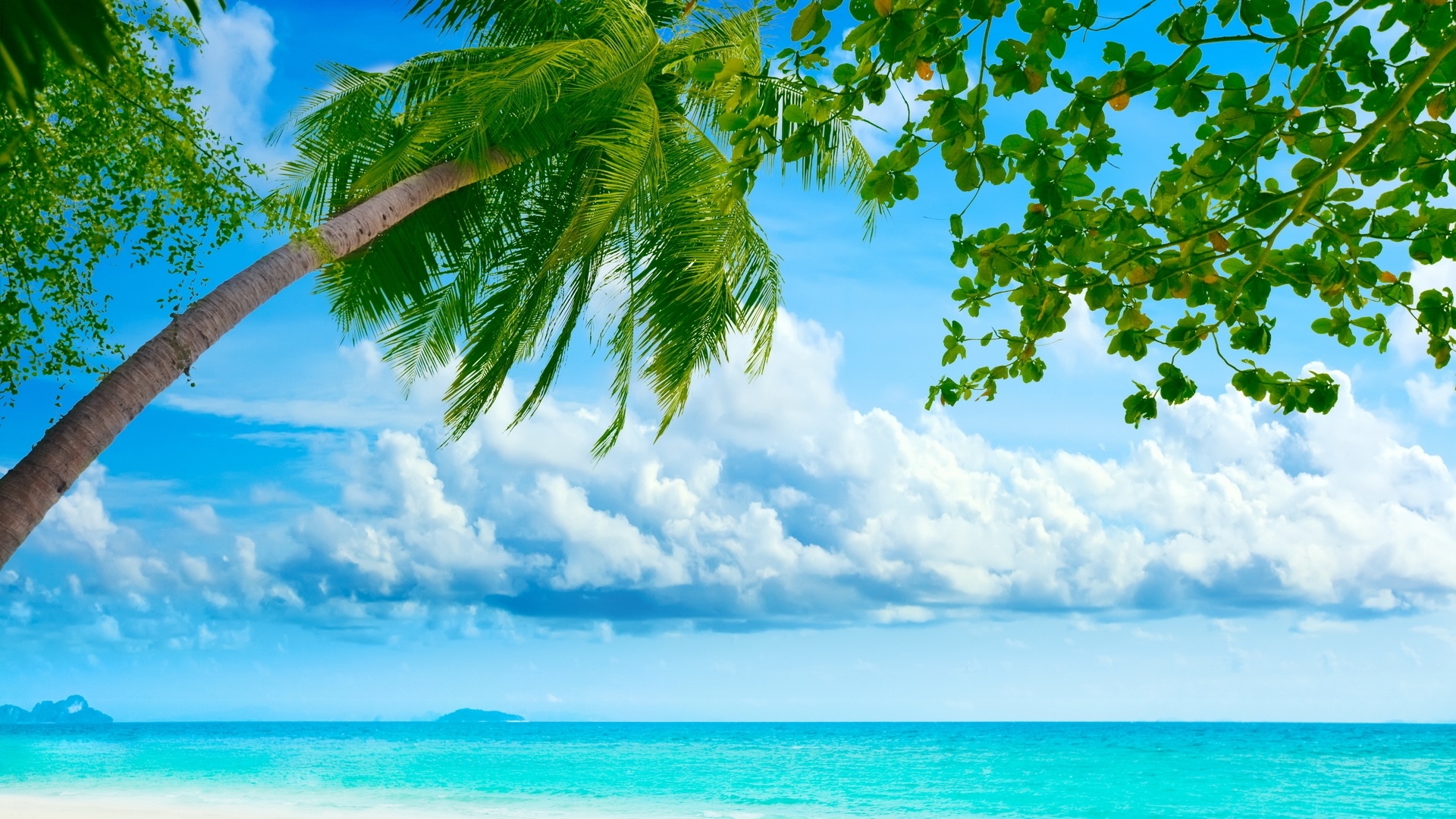 summer wallpaper