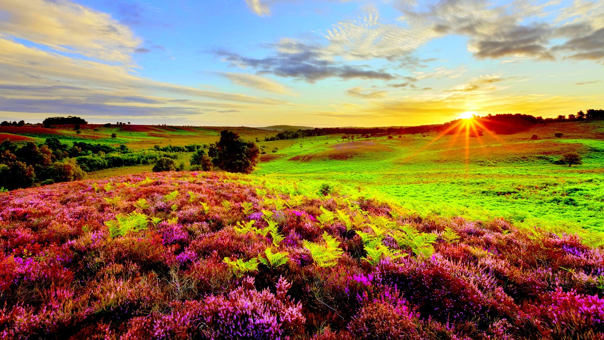 sunrise wallpaper