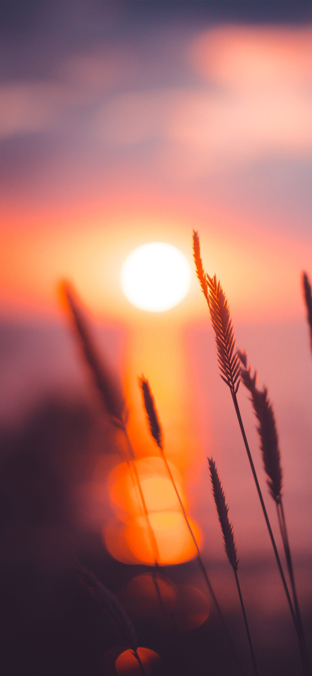 sunrise wallpaper