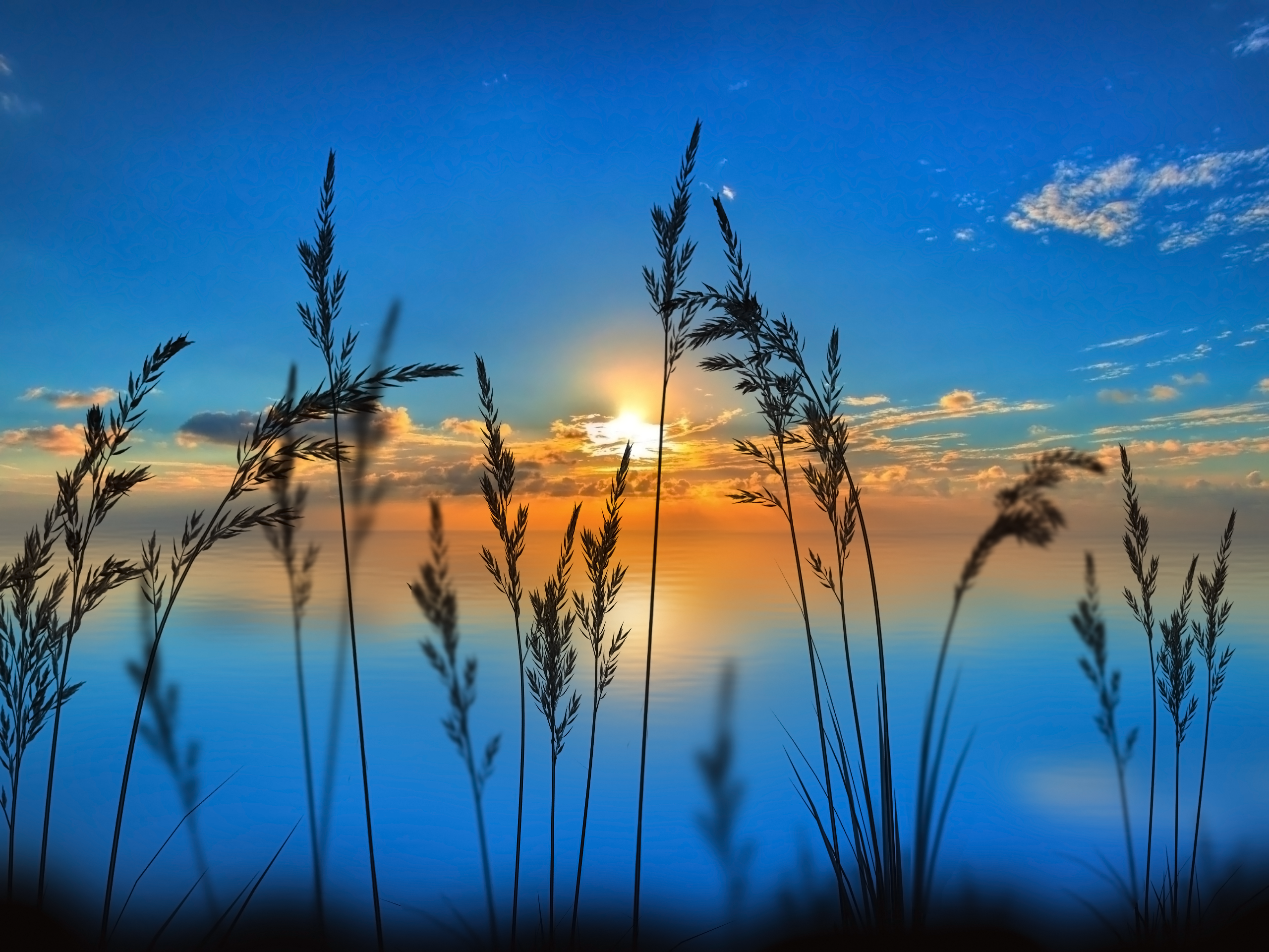 sunrise wallpaper