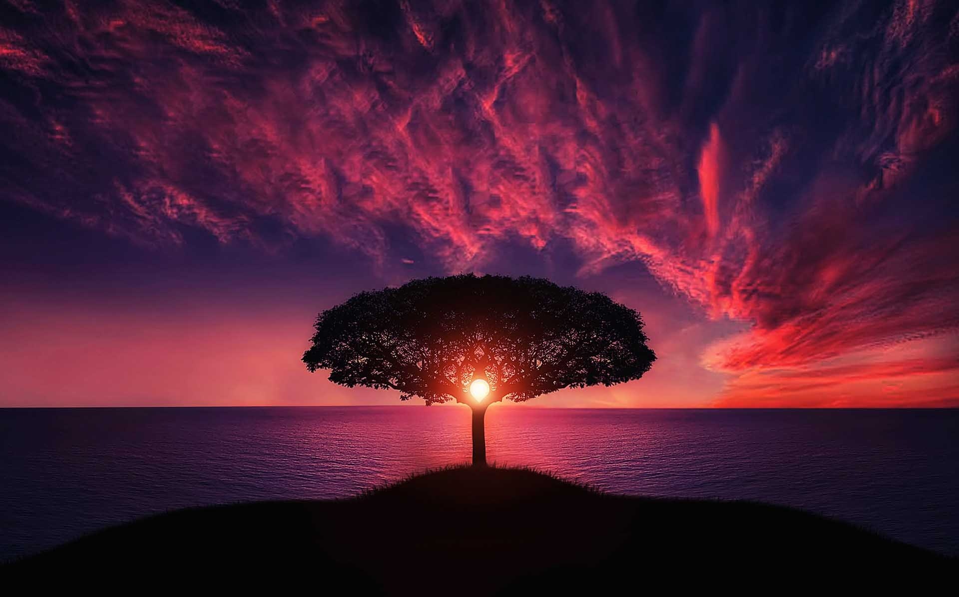 sunrise wallpaper