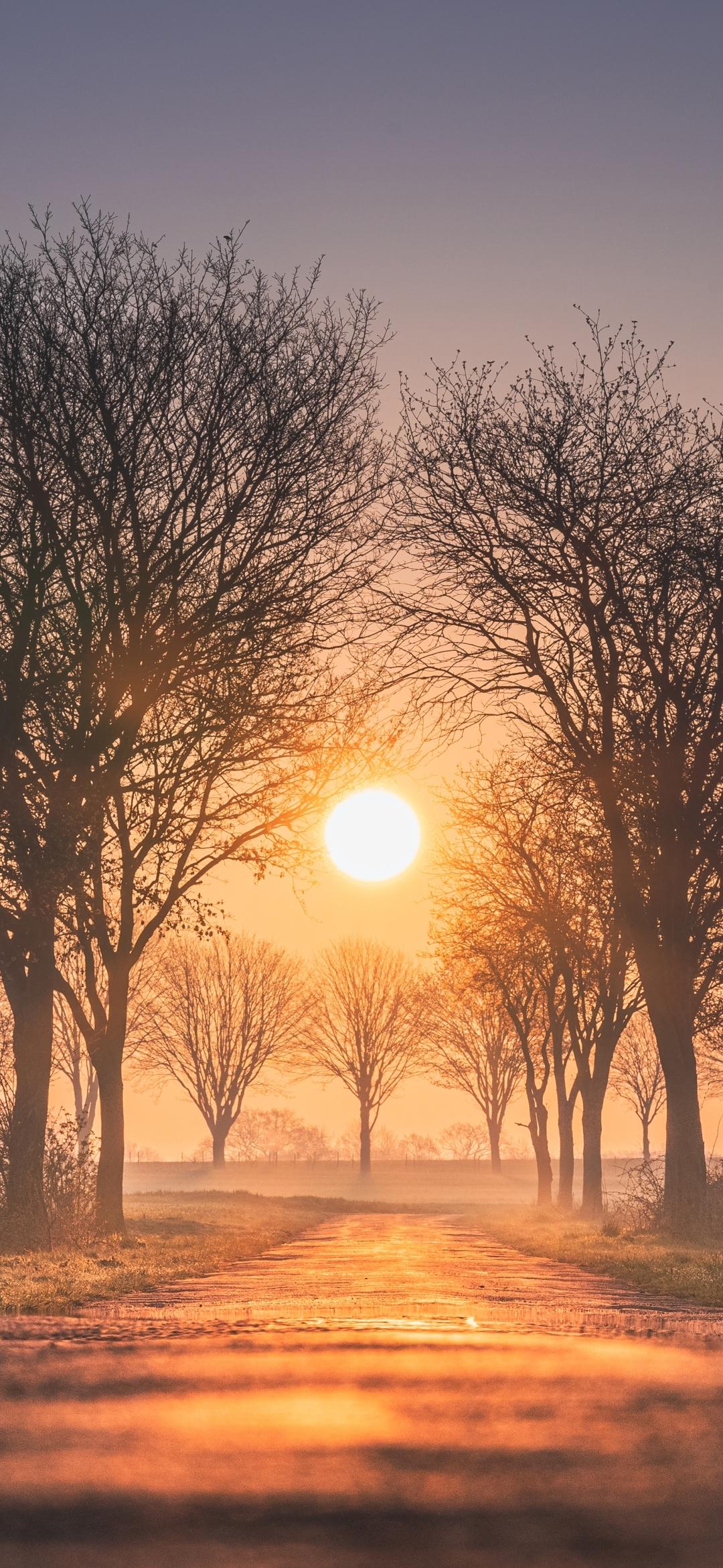 sunrise wallpaper