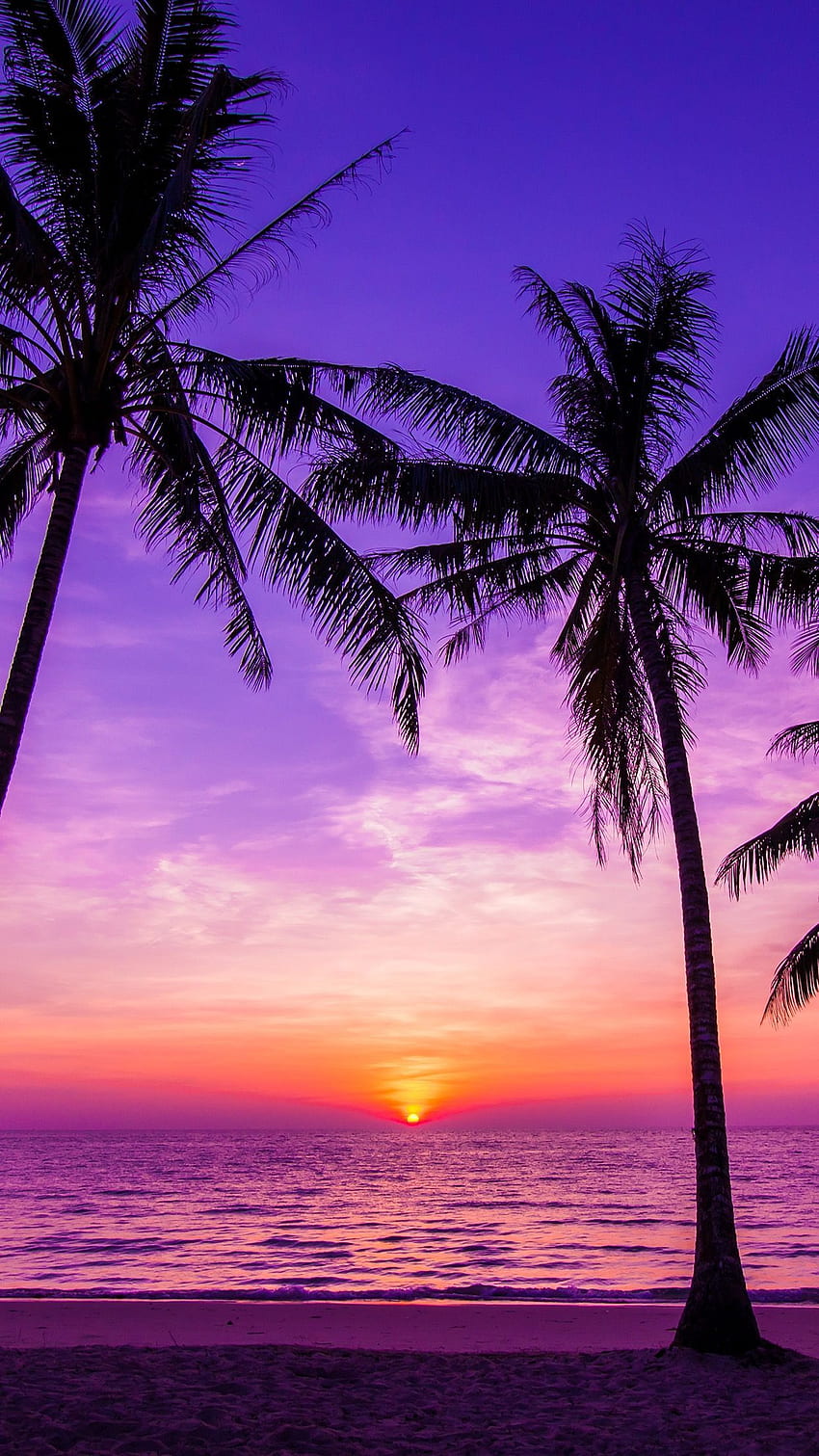 sunset wallpaper