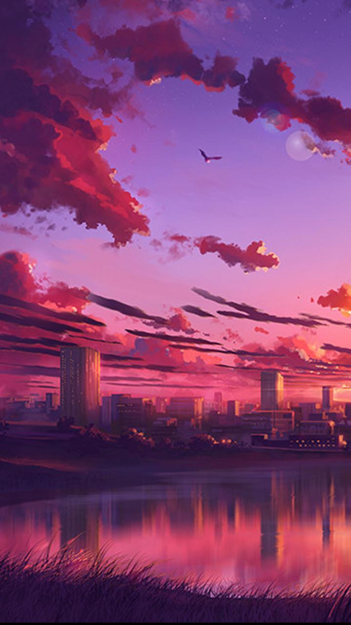 sunset wallpaper