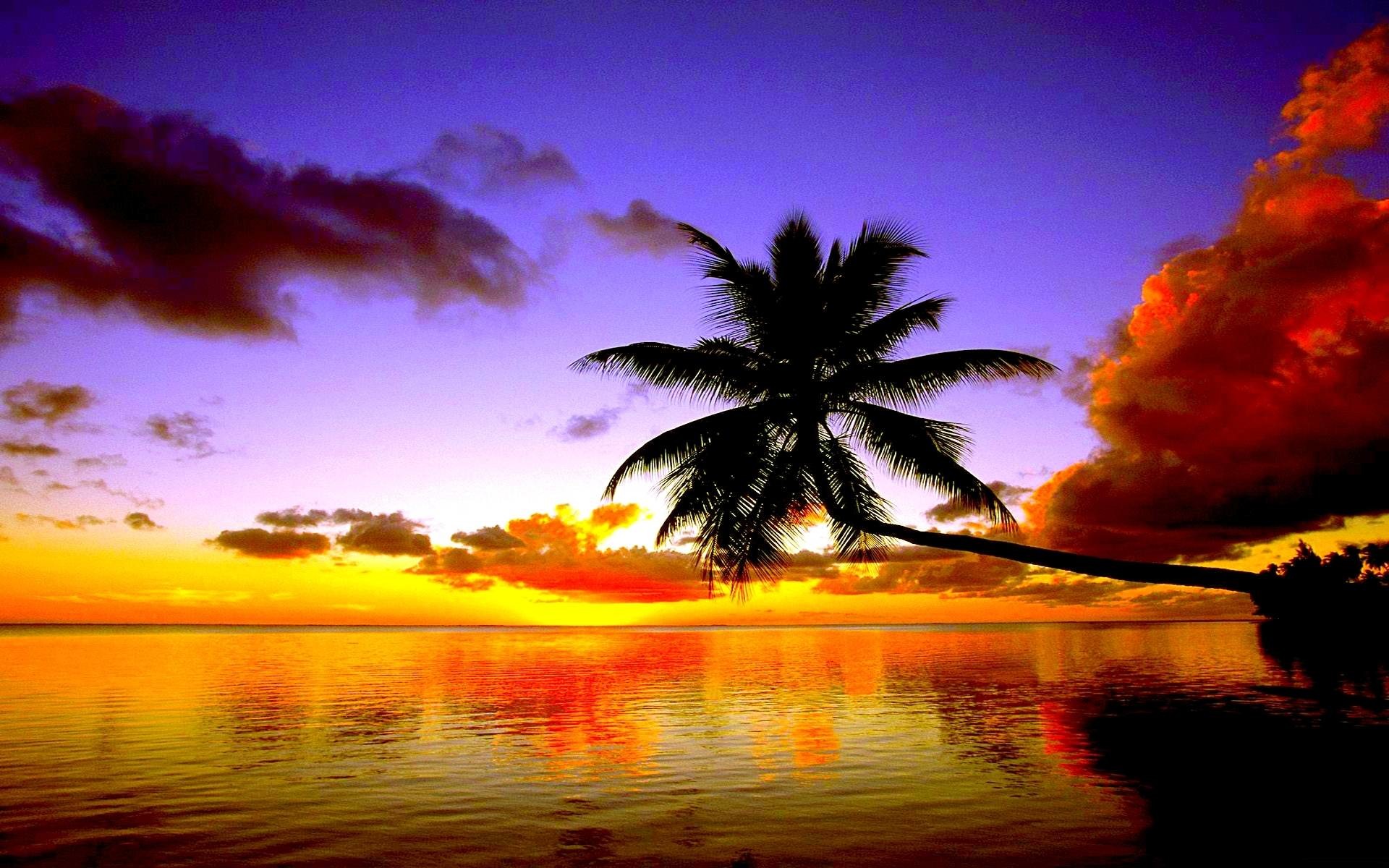 sunset wallpaper