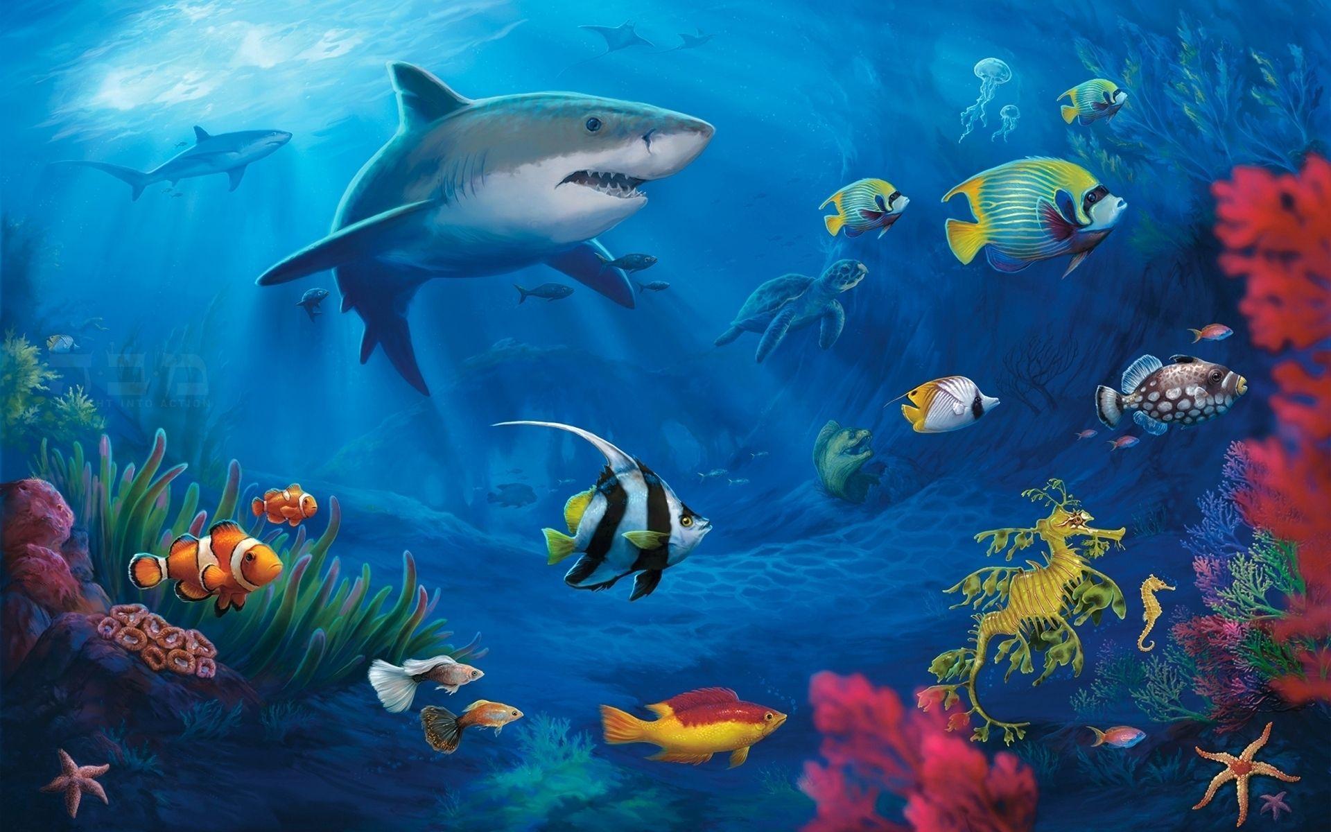 underwater wallpaper