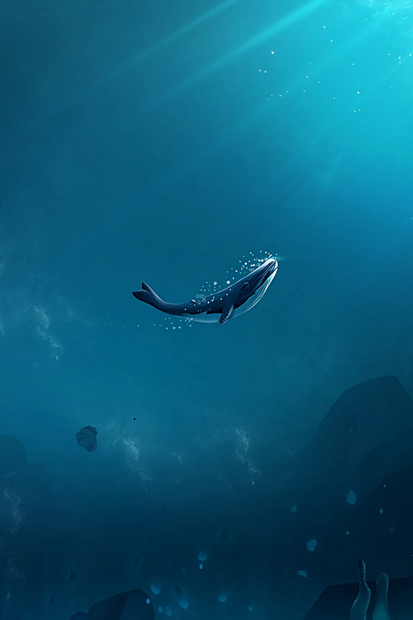 underwater wallpaper