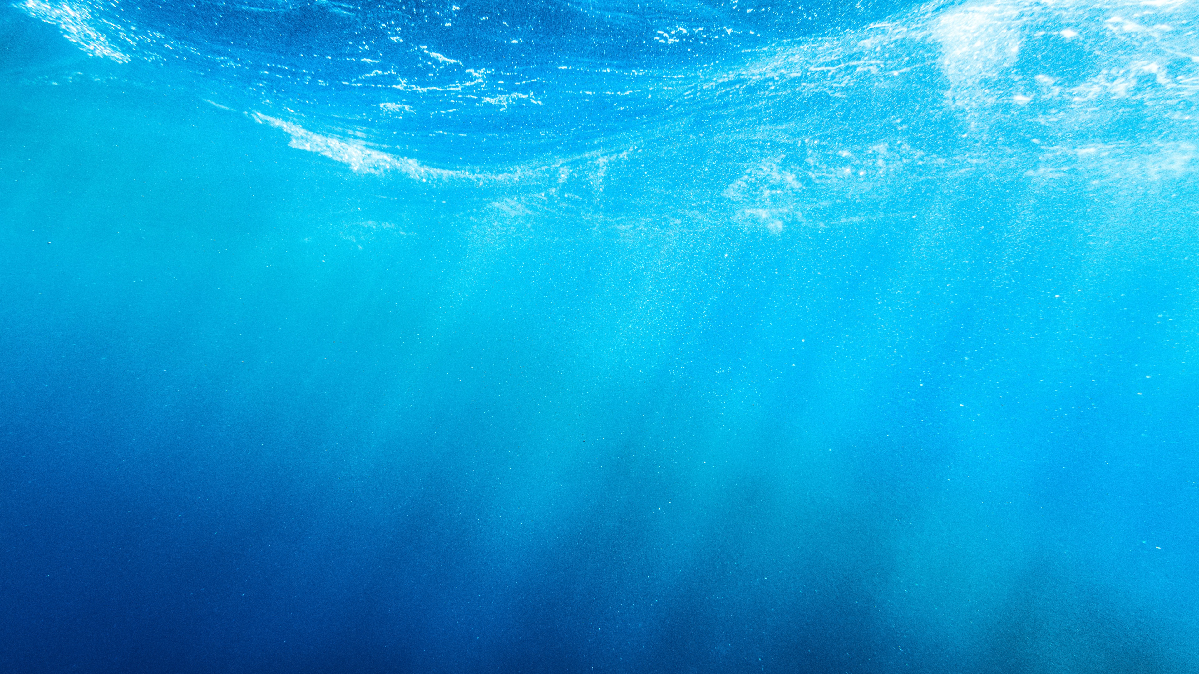 underwater wallpaper