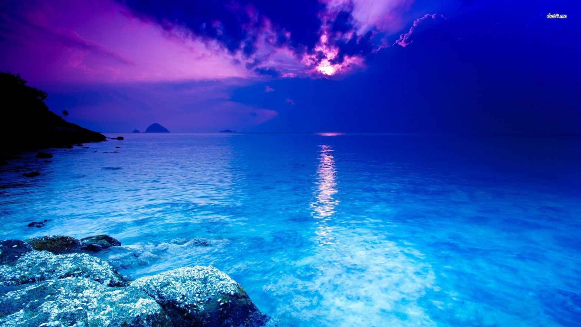 underwater wallpaper