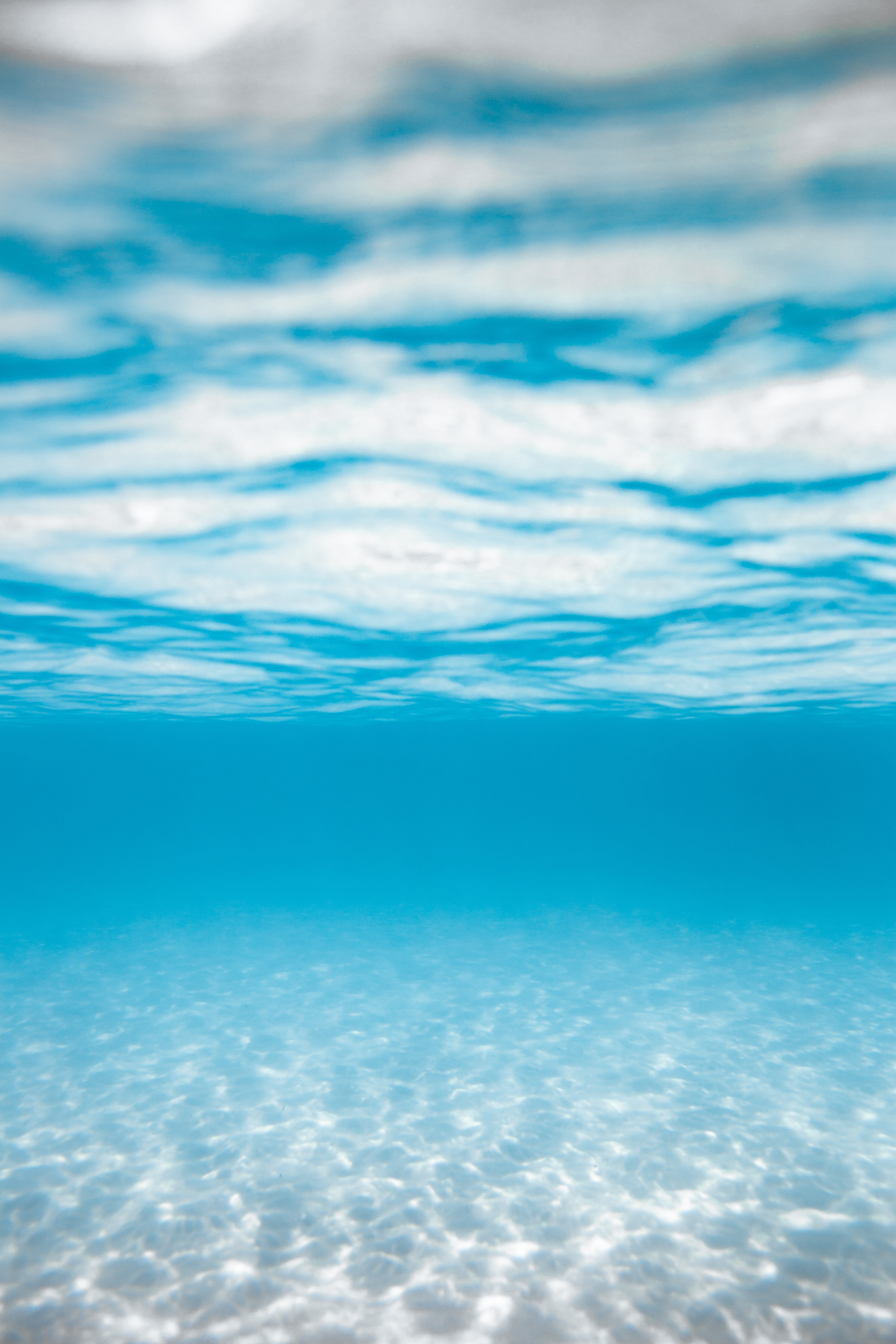underwater wallpaper