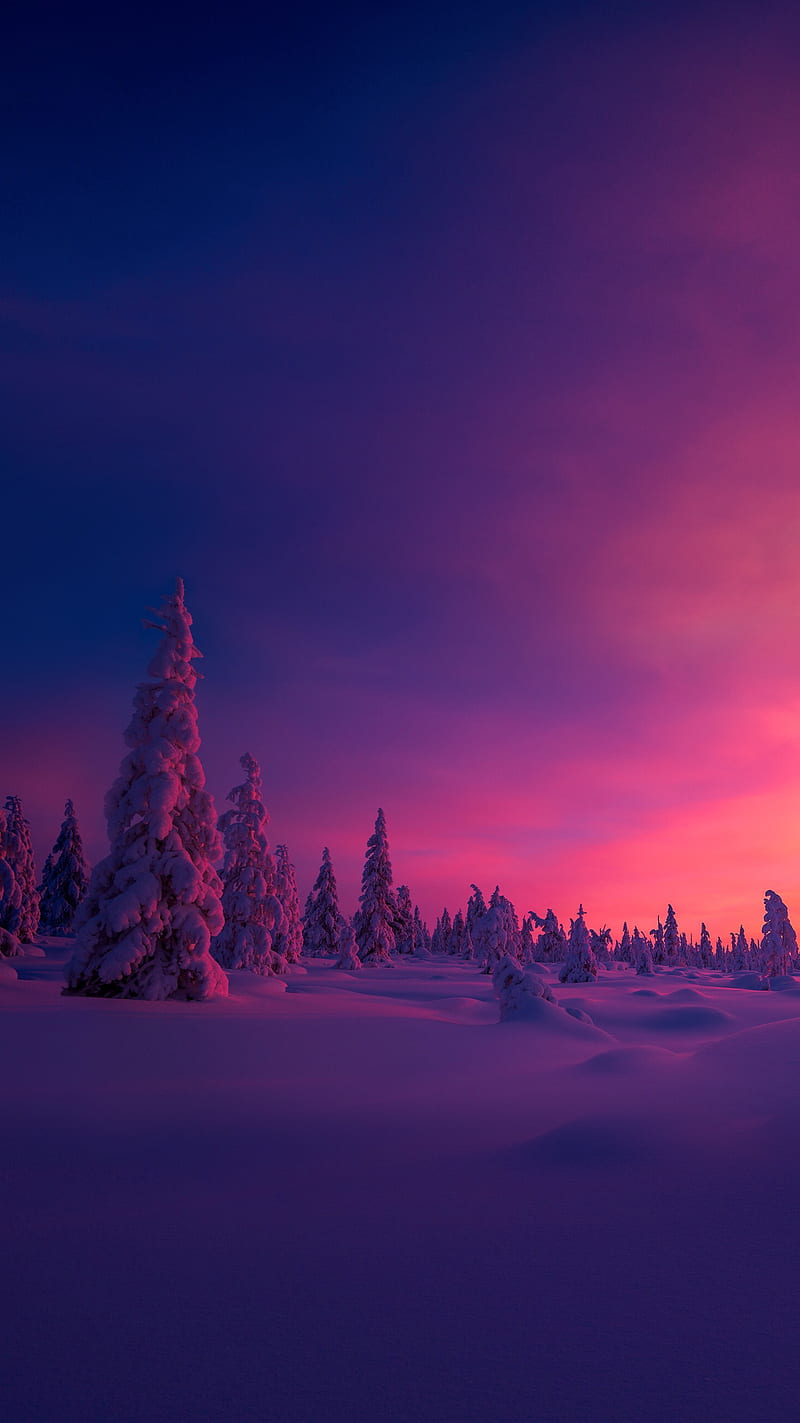 winter wallpaper