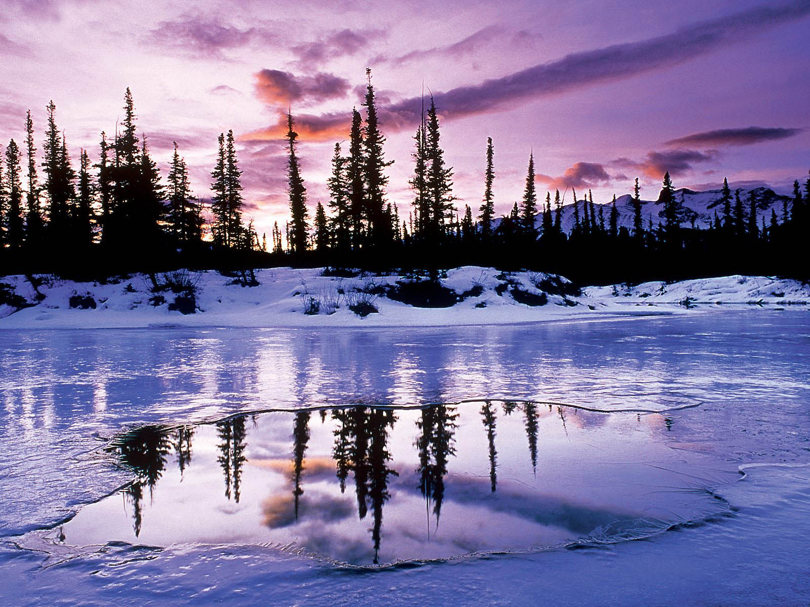 winter wallpaper