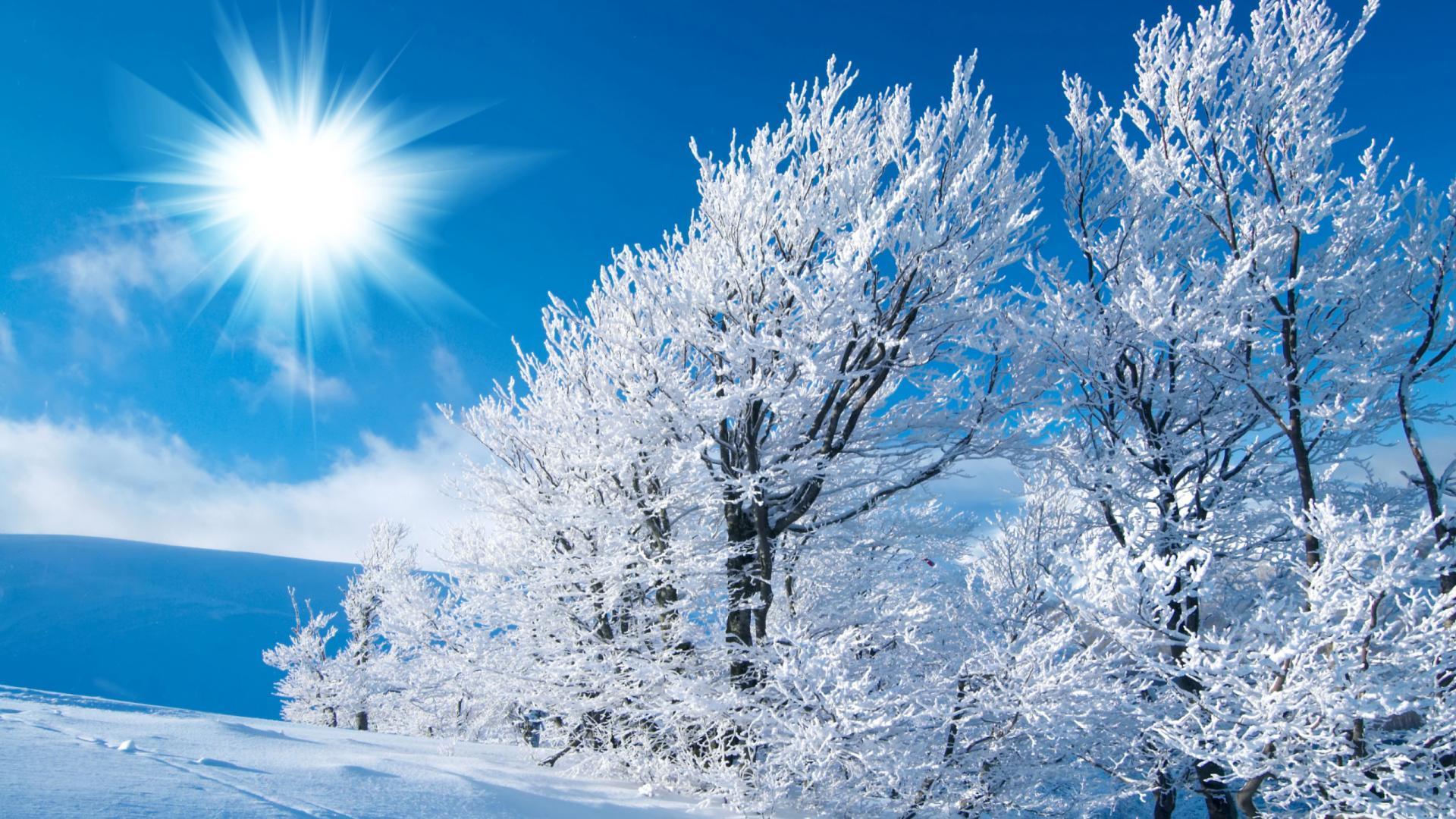 winter wallpaper