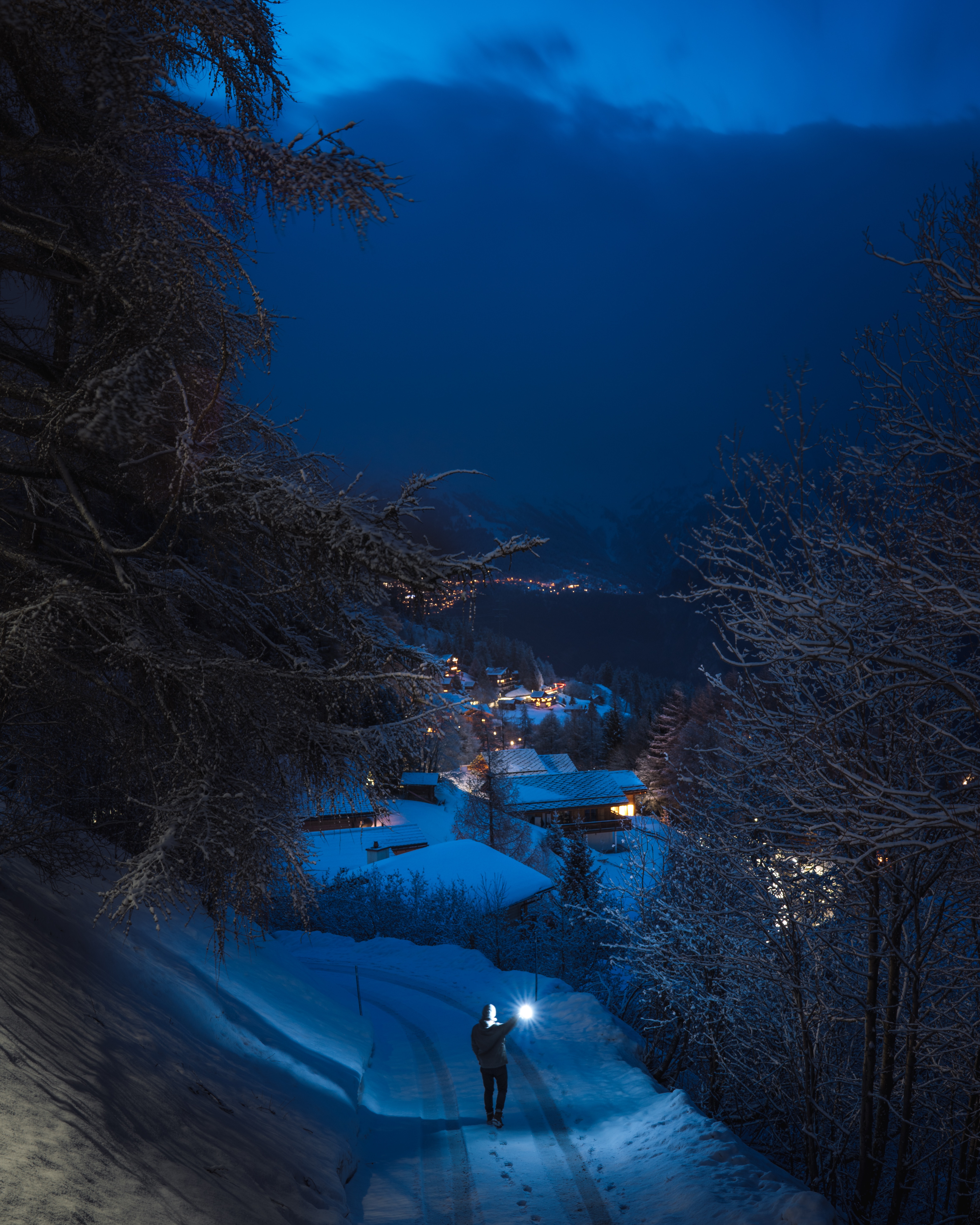 winter wallpaper