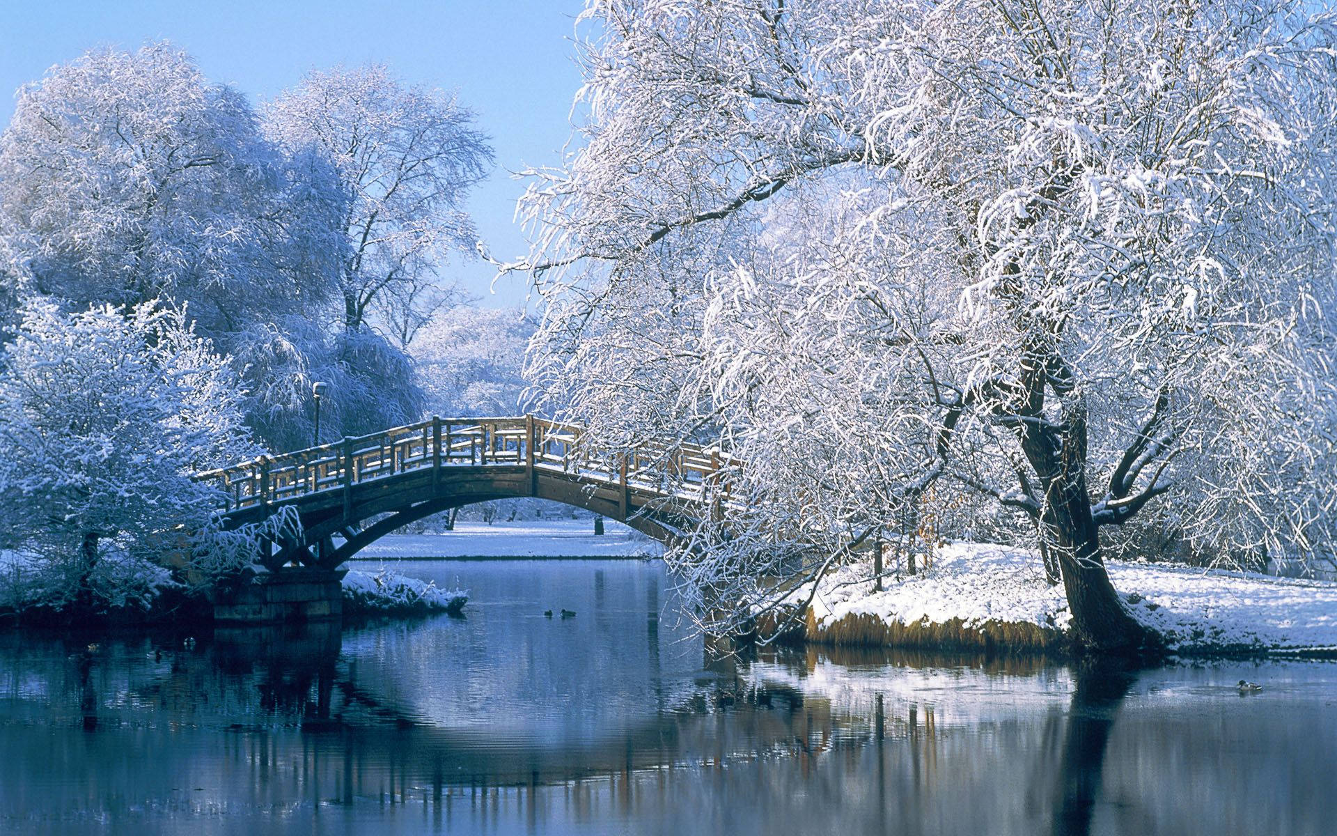 winter wallpaper