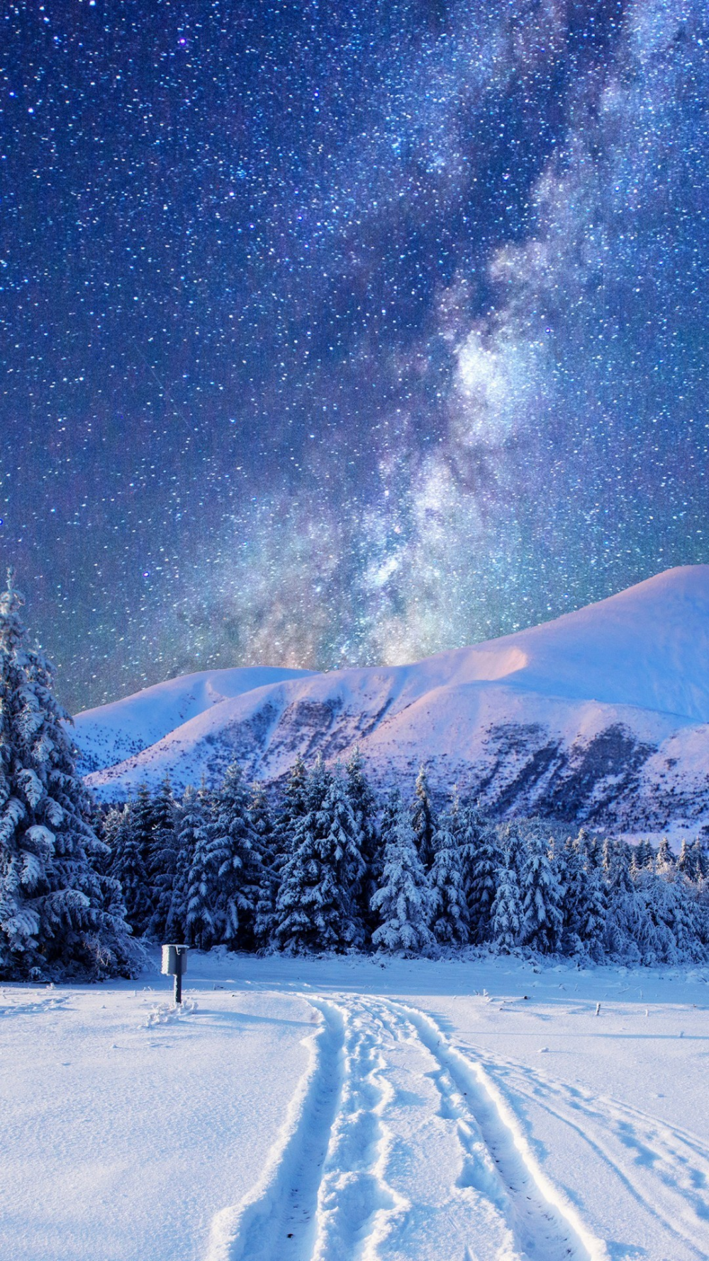 winter wallpaper