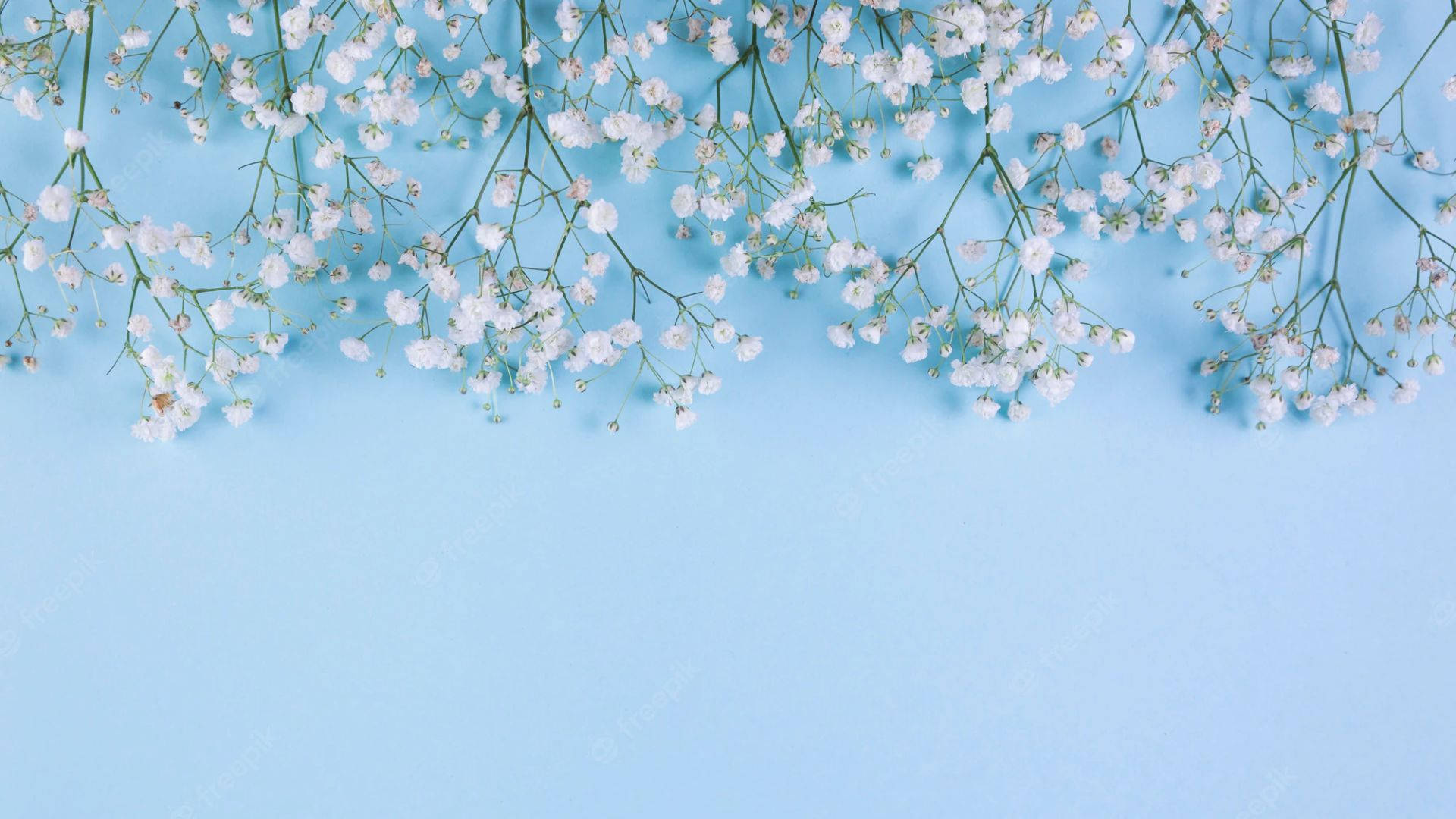 light blue wallpaper