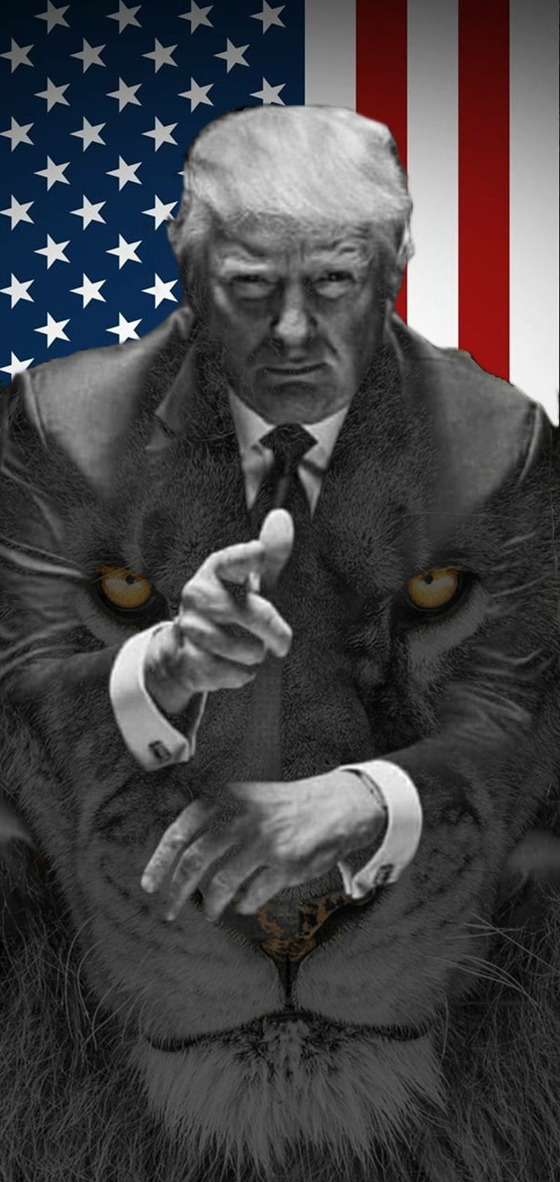 trump wallpaper