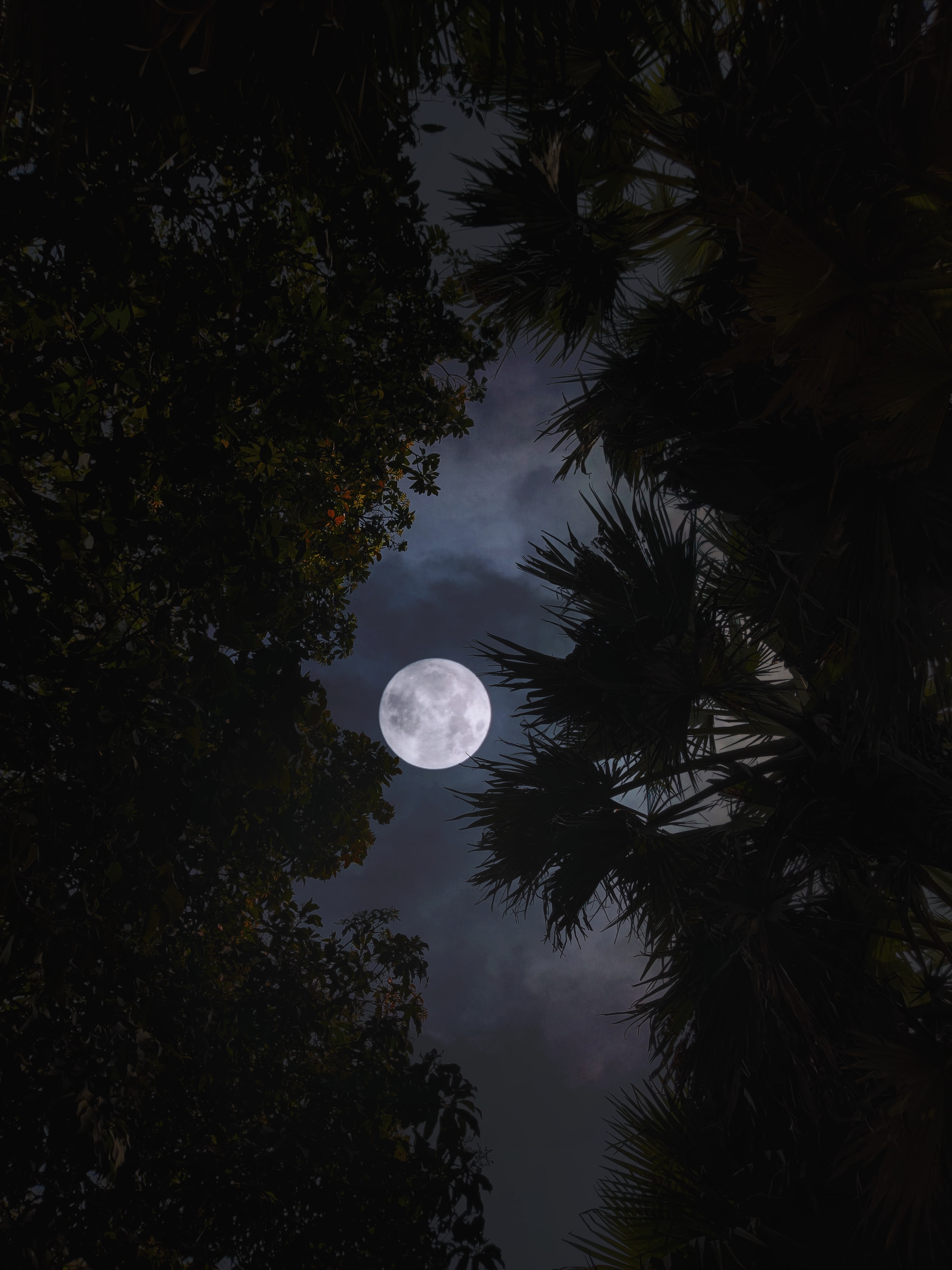 moon wallpaper