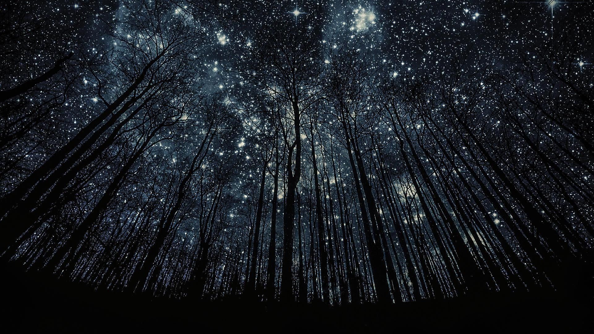 stars wallpaper