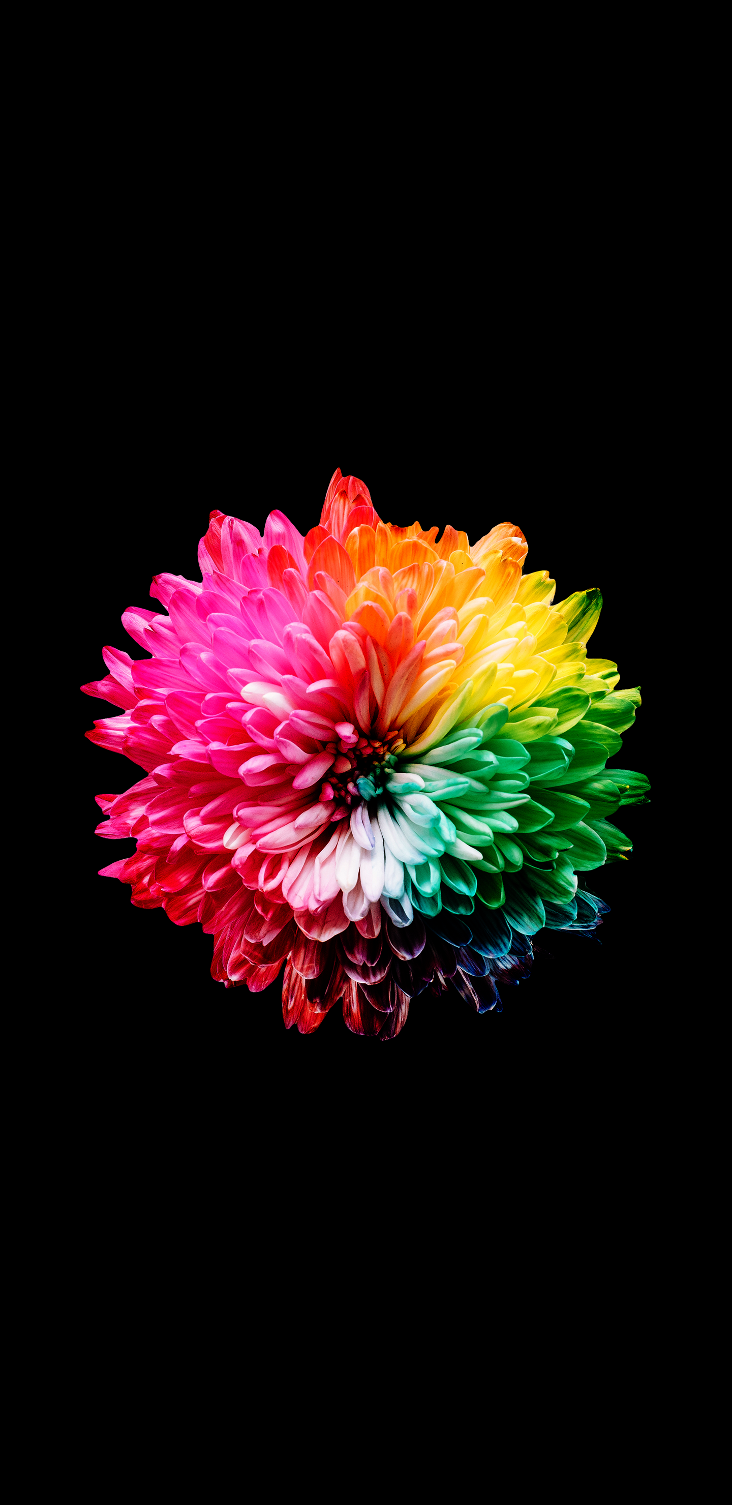 amoled wallpaper