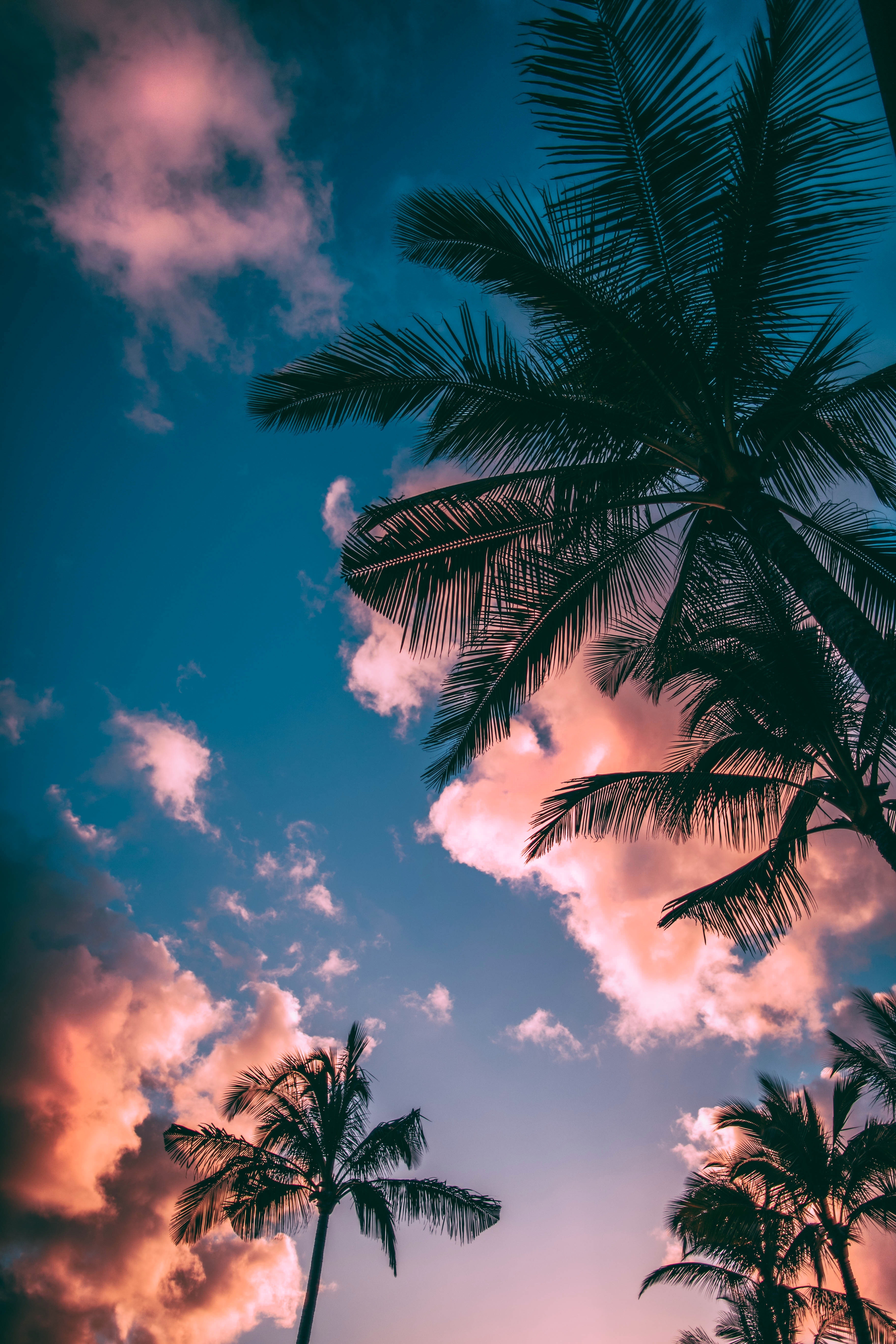 iphone wallpaper
