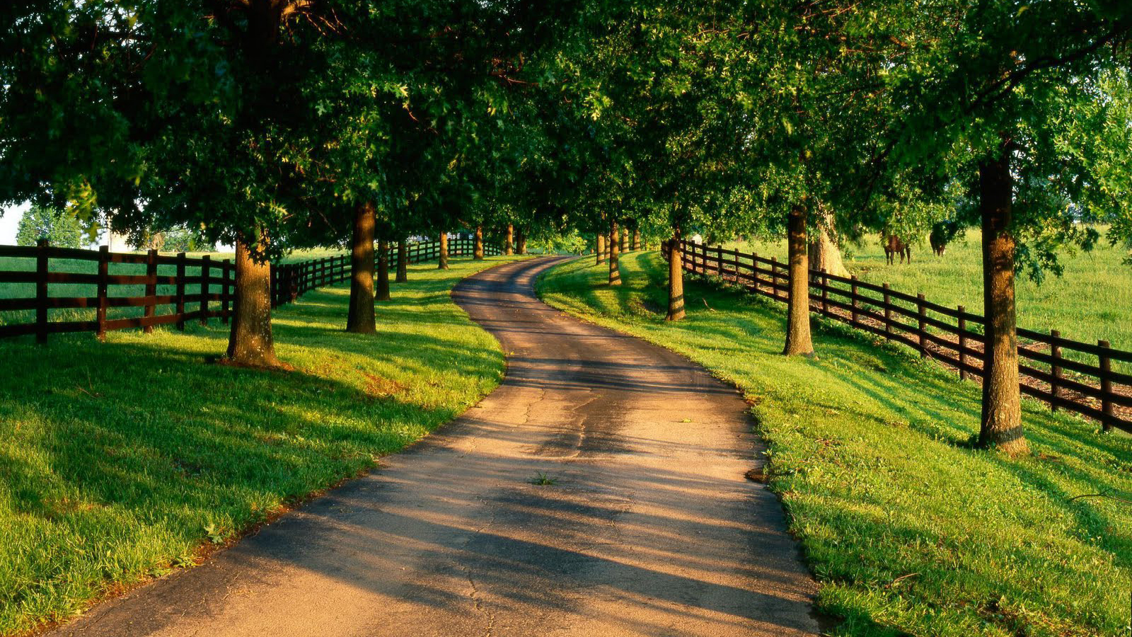 country backgrounds