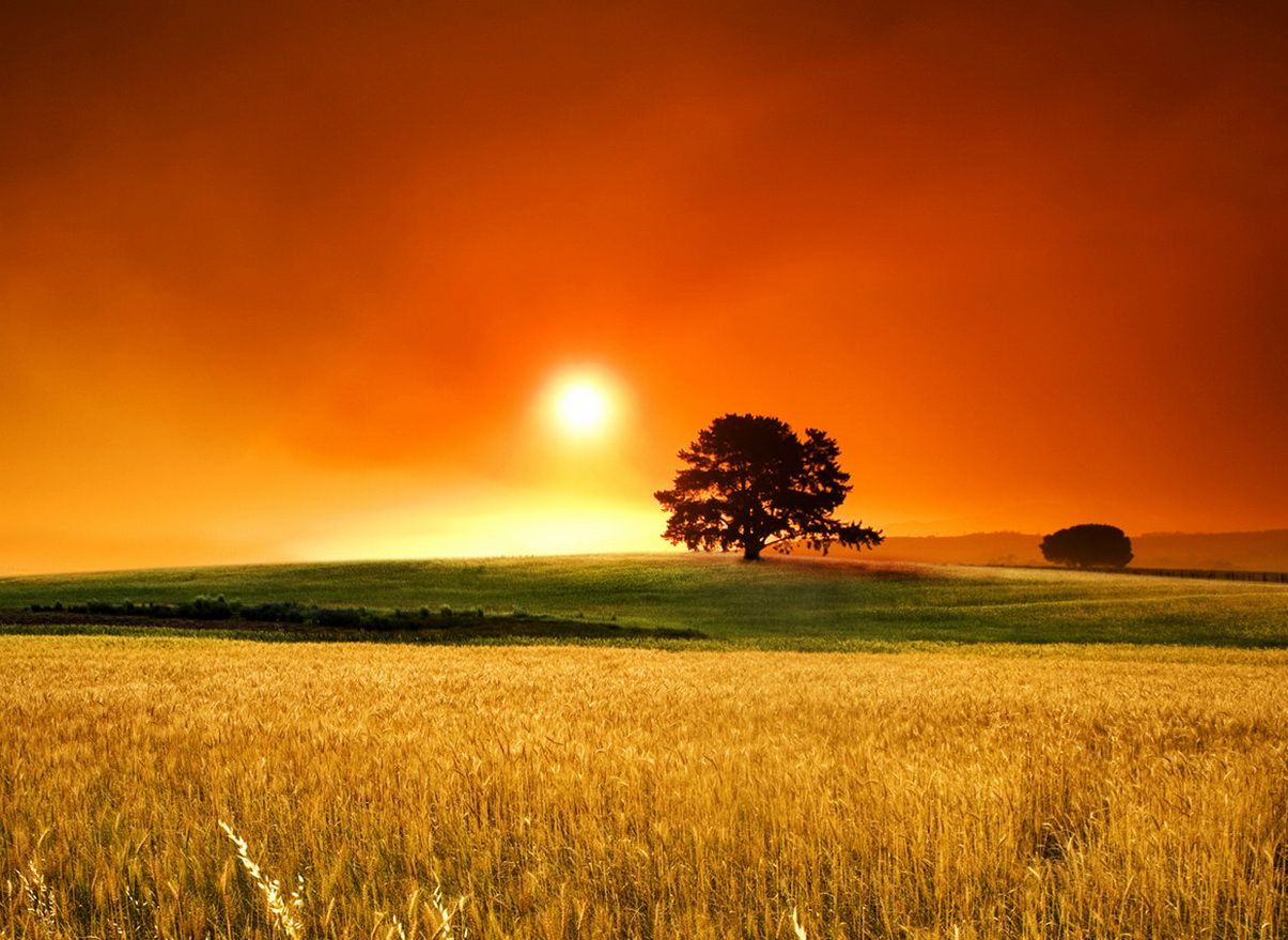 country backgrounds