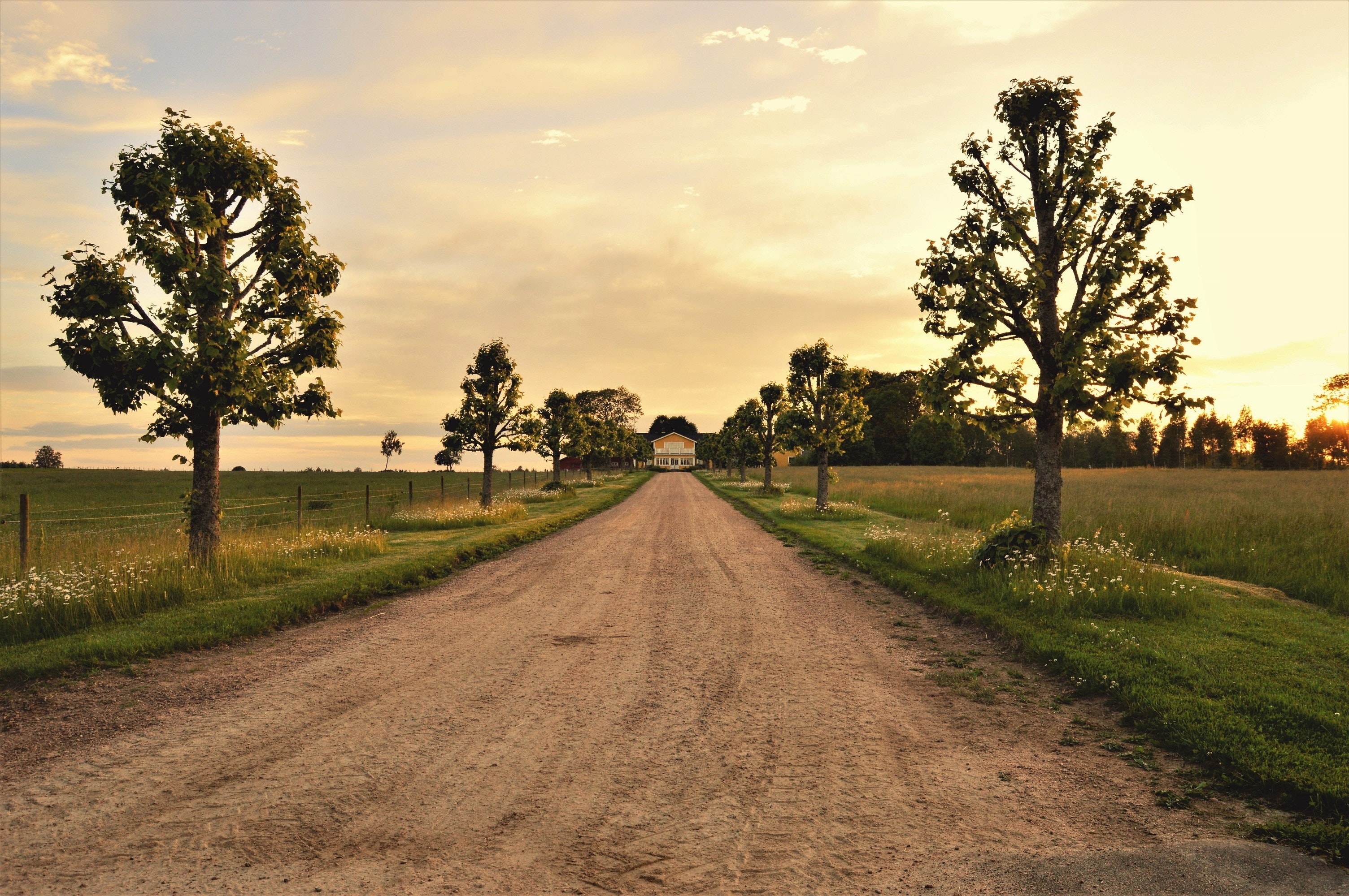 country backgrounds