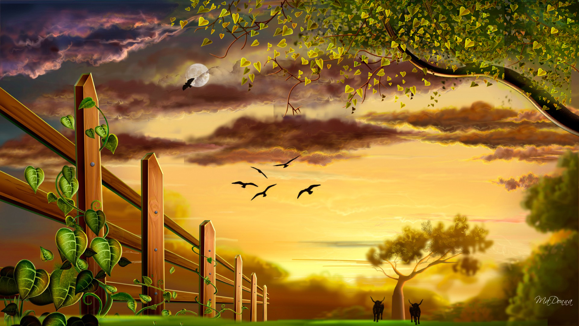 country backgrounds