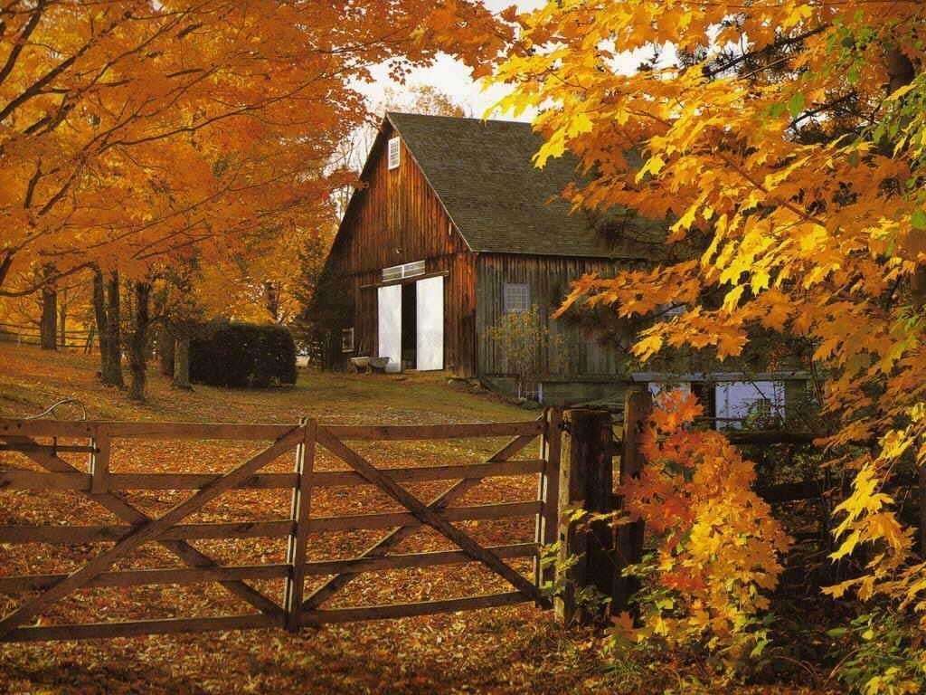 country backgrounds