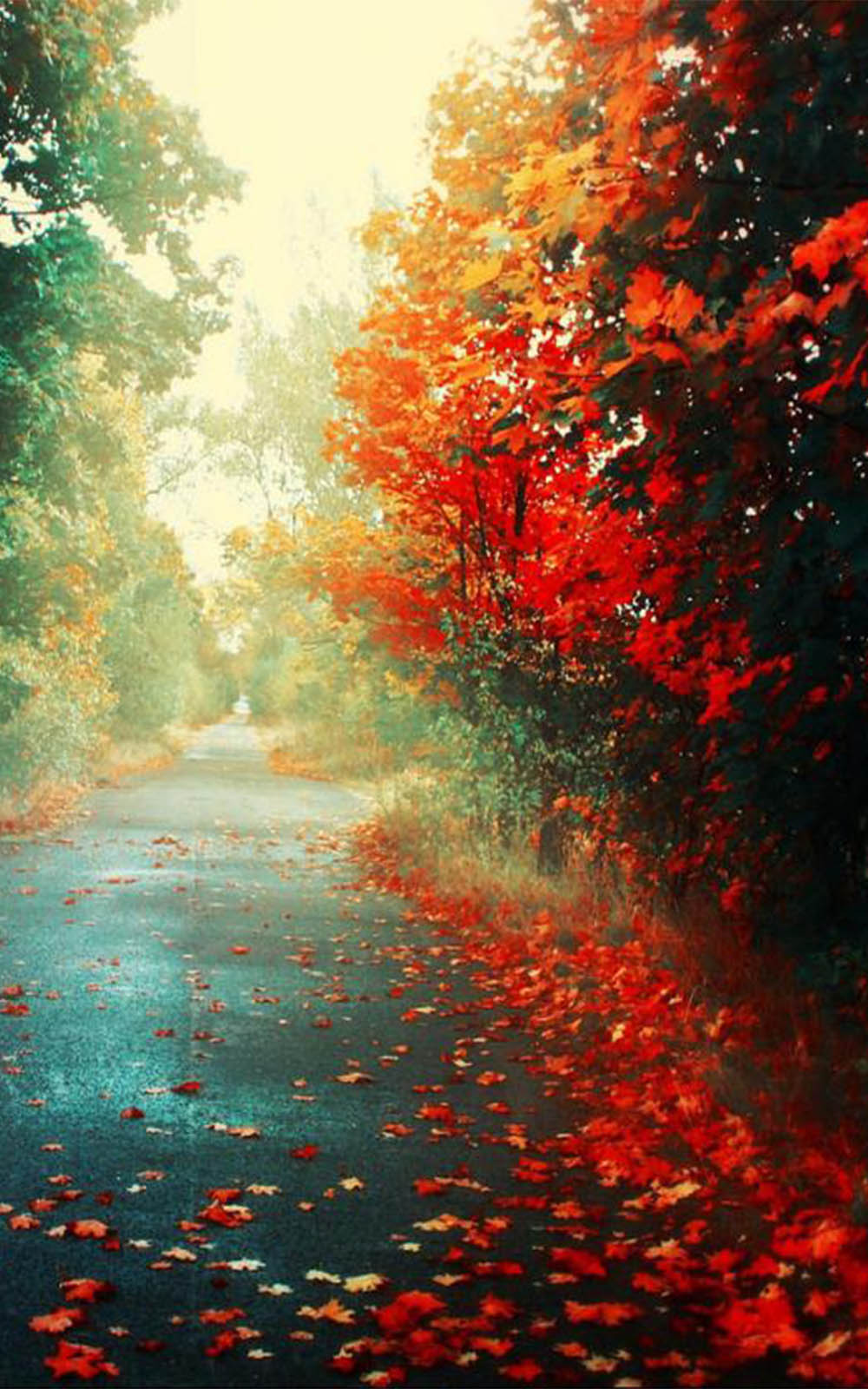 road wallpaper