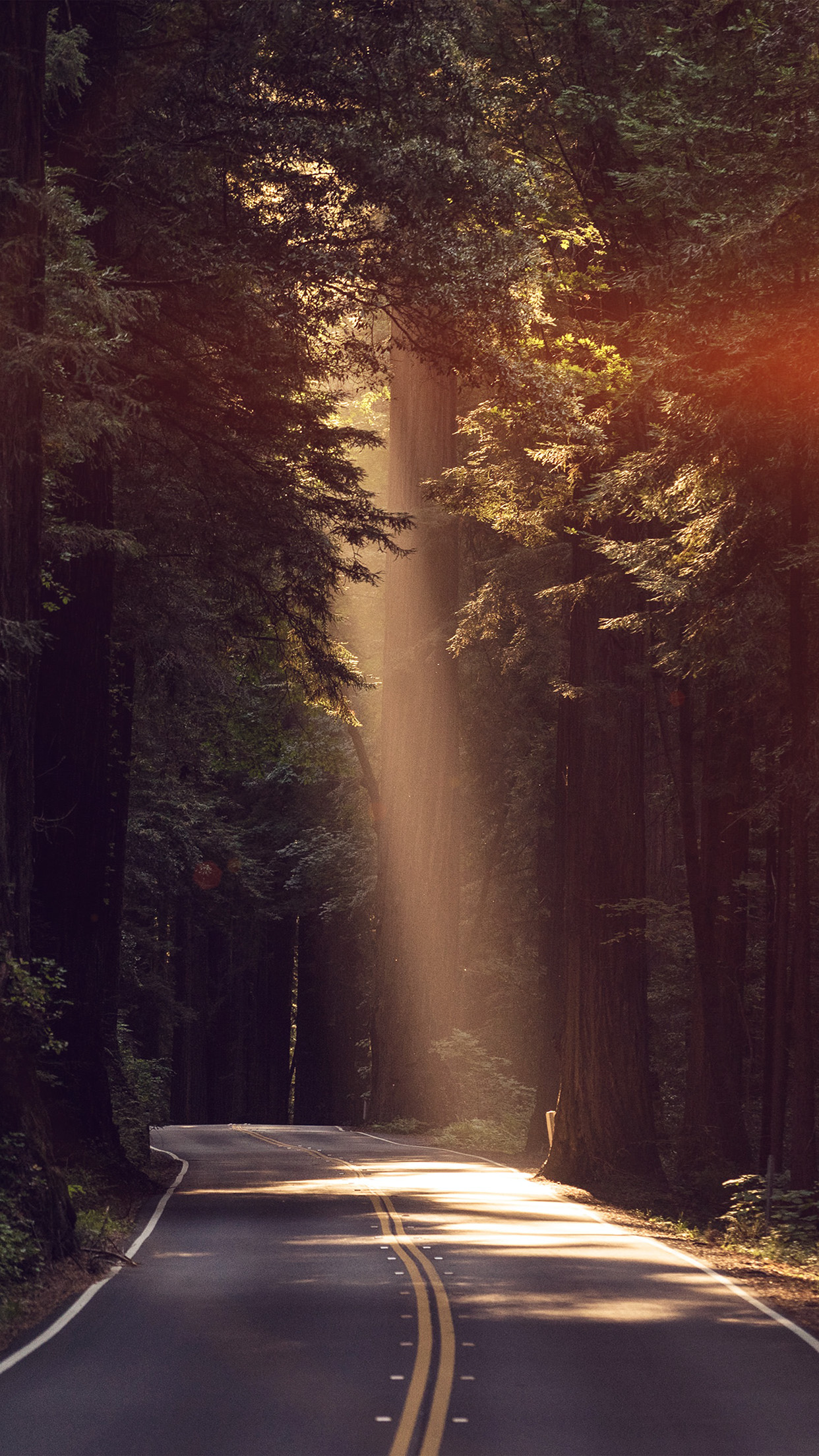 road wallpaper
