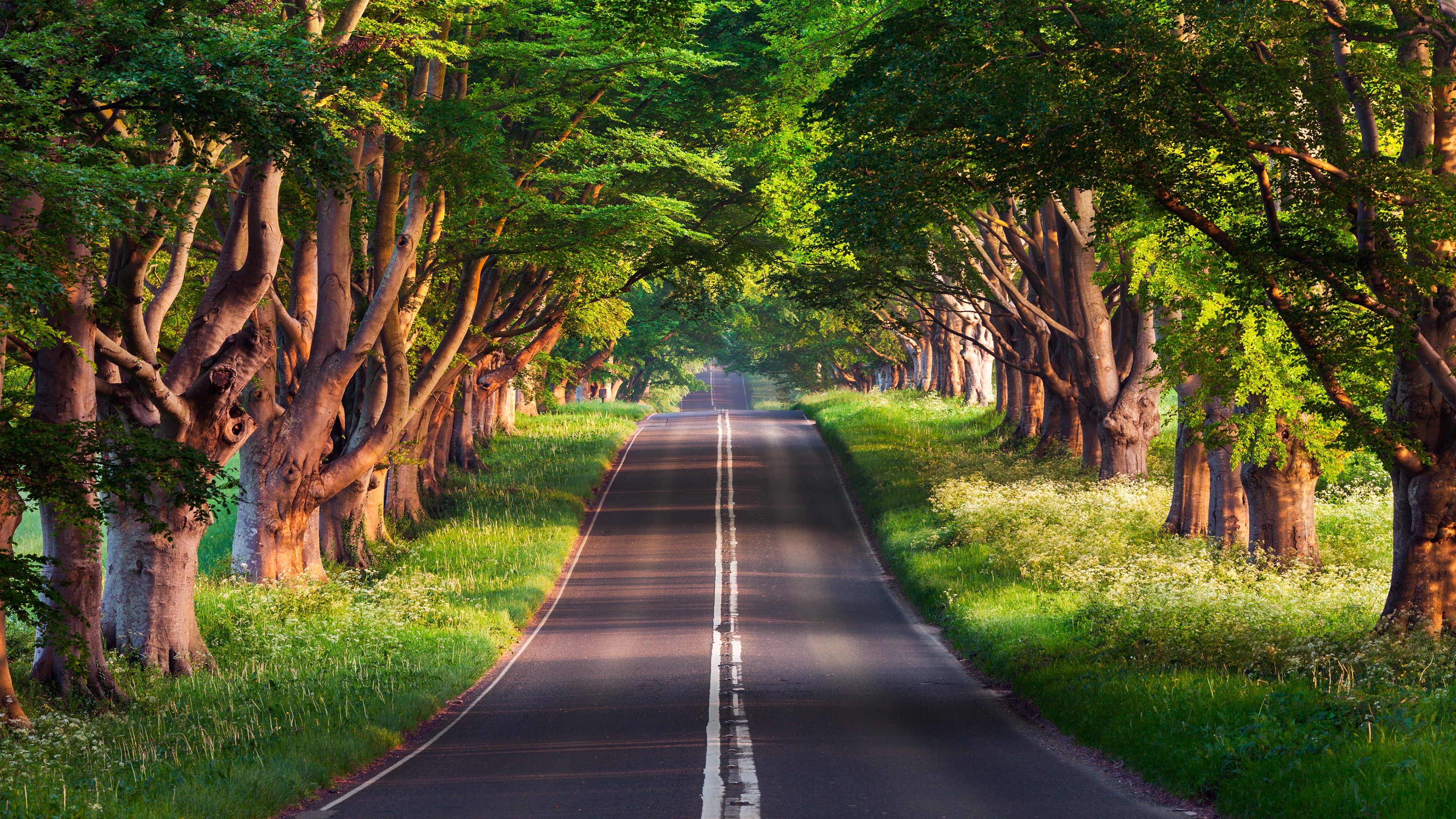 road wallpaper