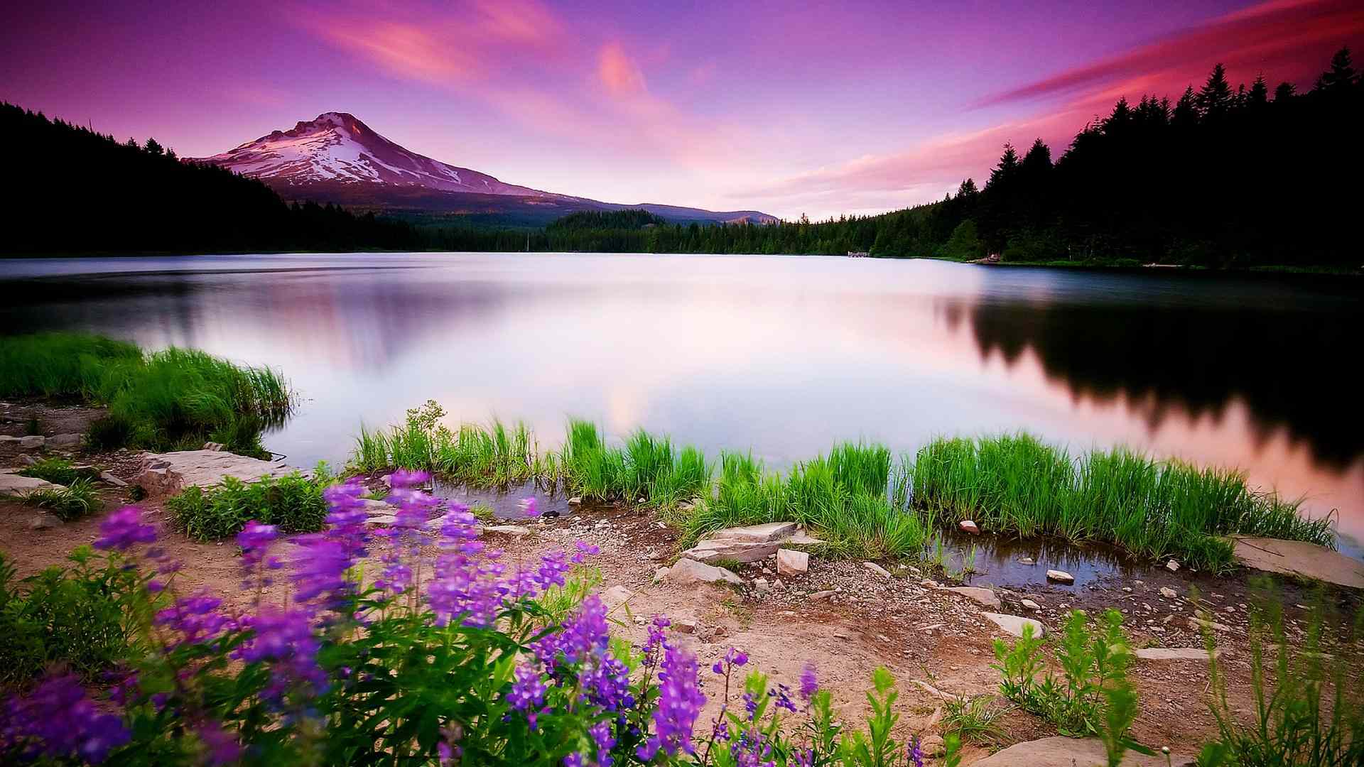 scenery wallpaper