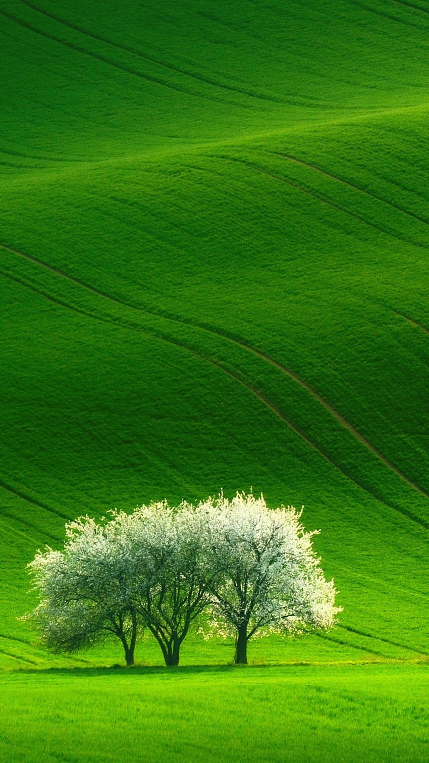 scenery wallpaper