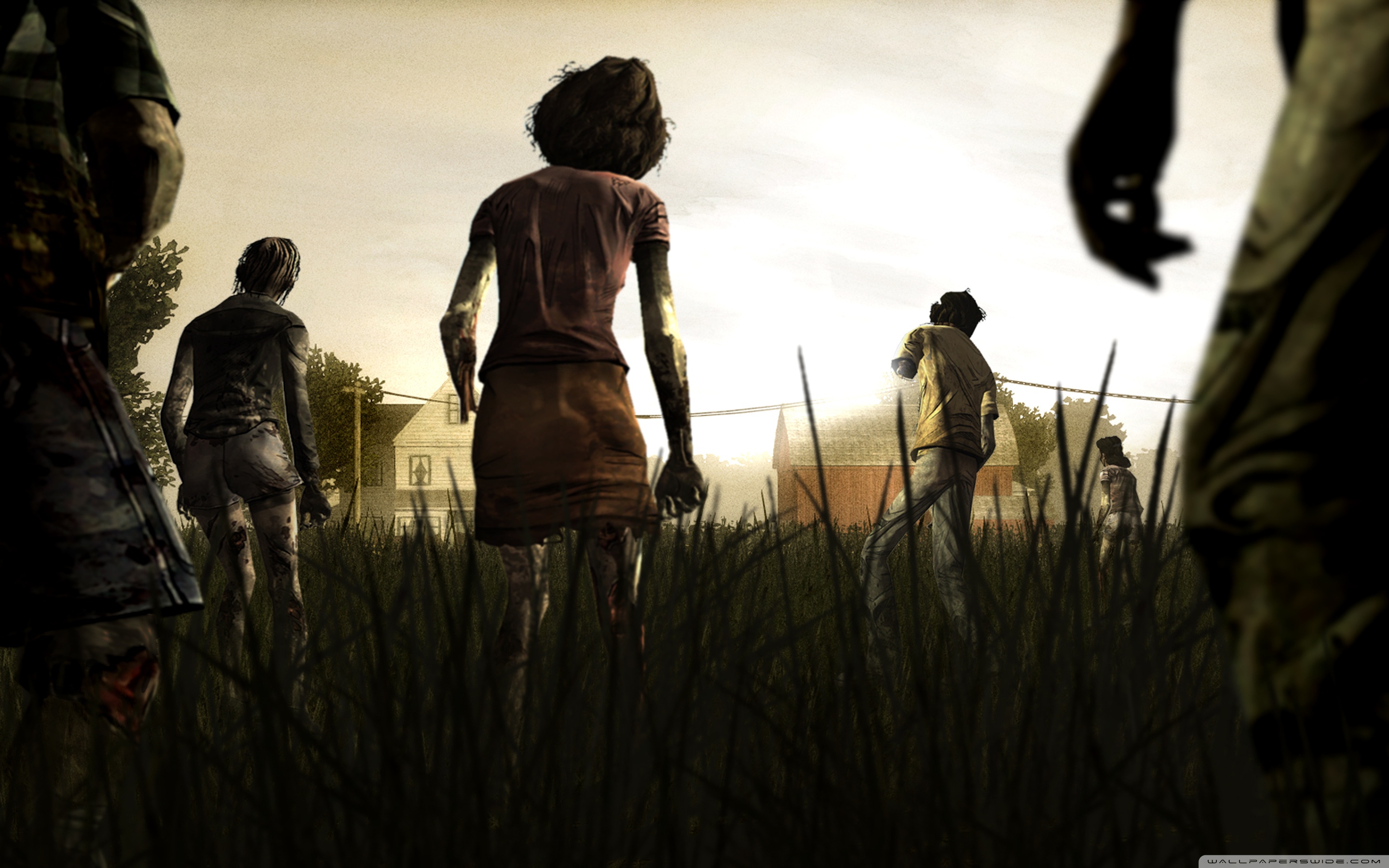 the walking dead wallpaper