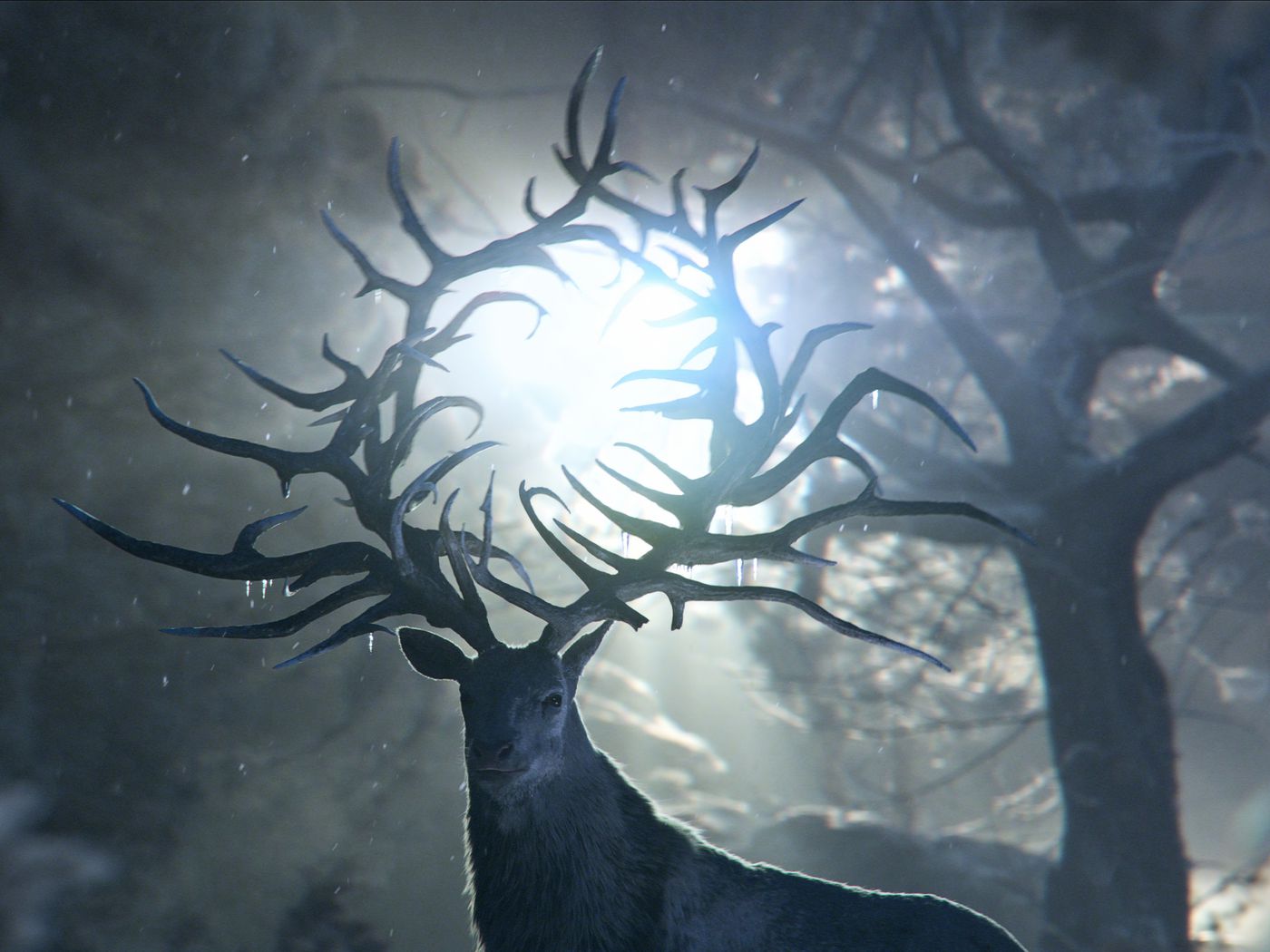 Shadow And Bone Wallpaper