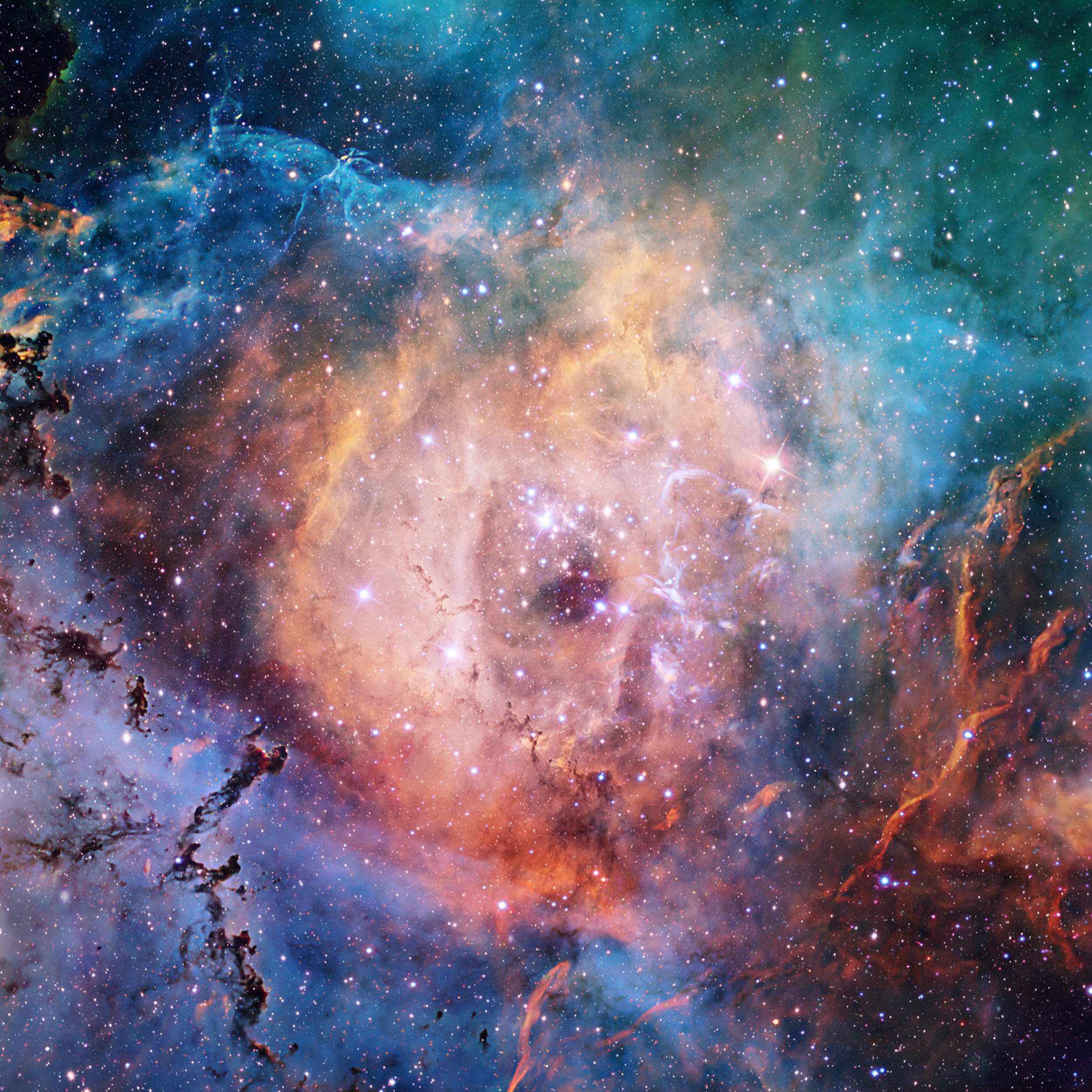 Cosmos Wallpaper
