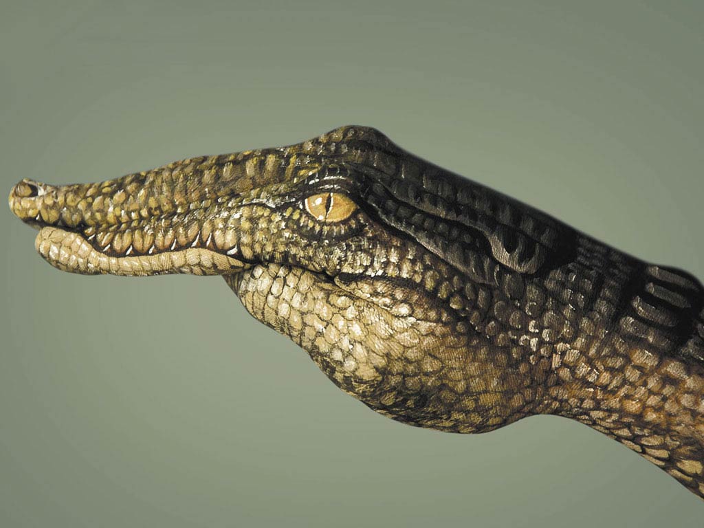 Alligator Wallpaper