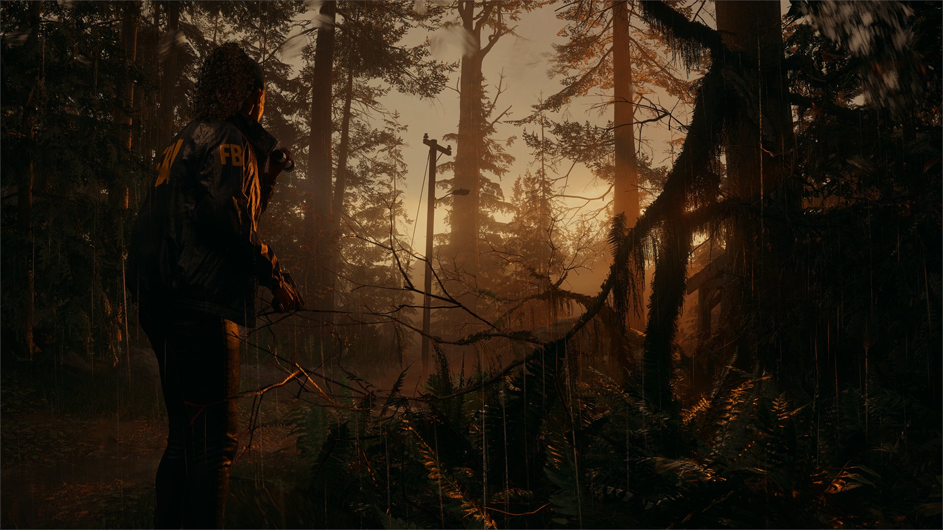 Alan Wake 2 Wallpaper