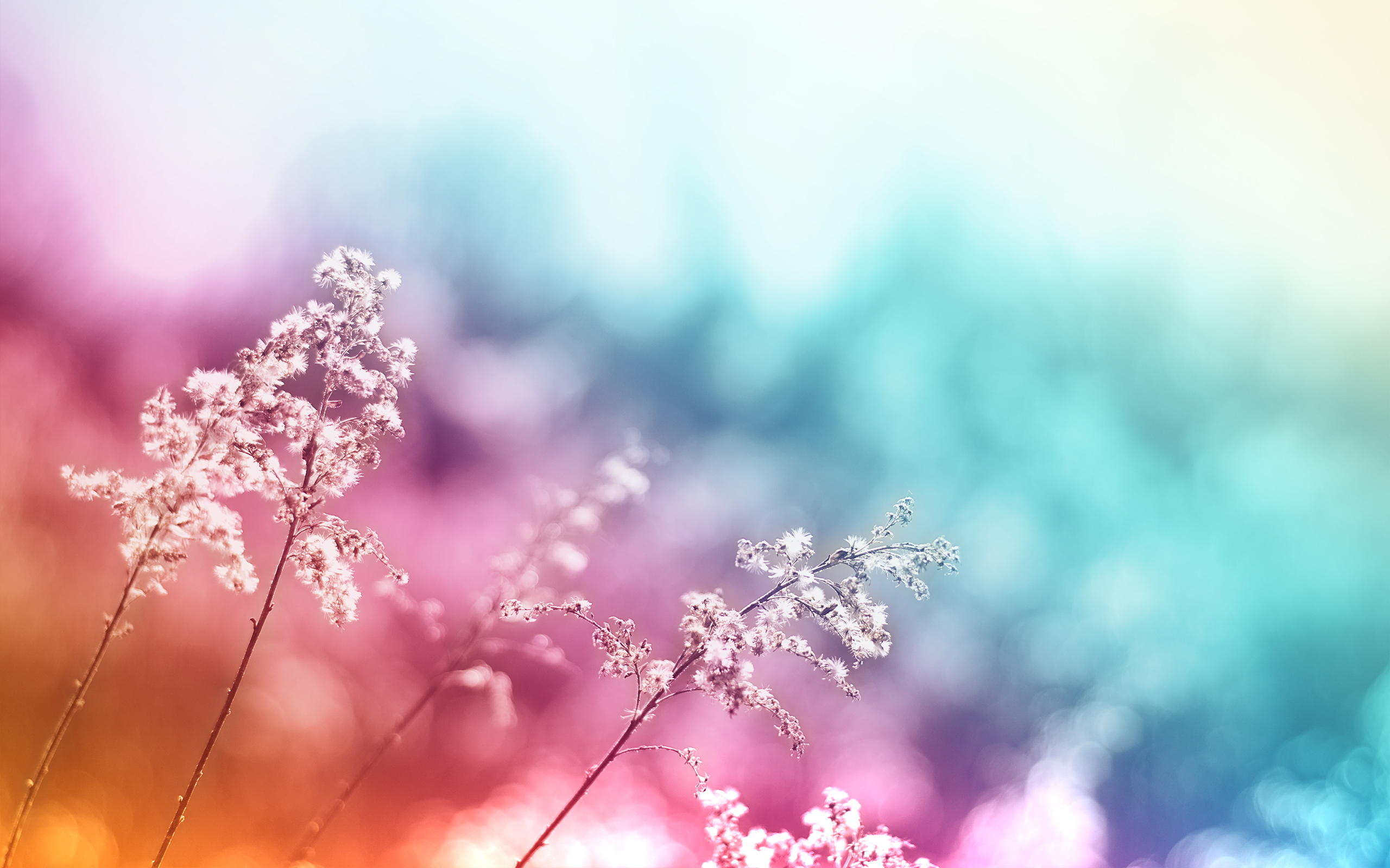 Abstract Photography Wallpaper